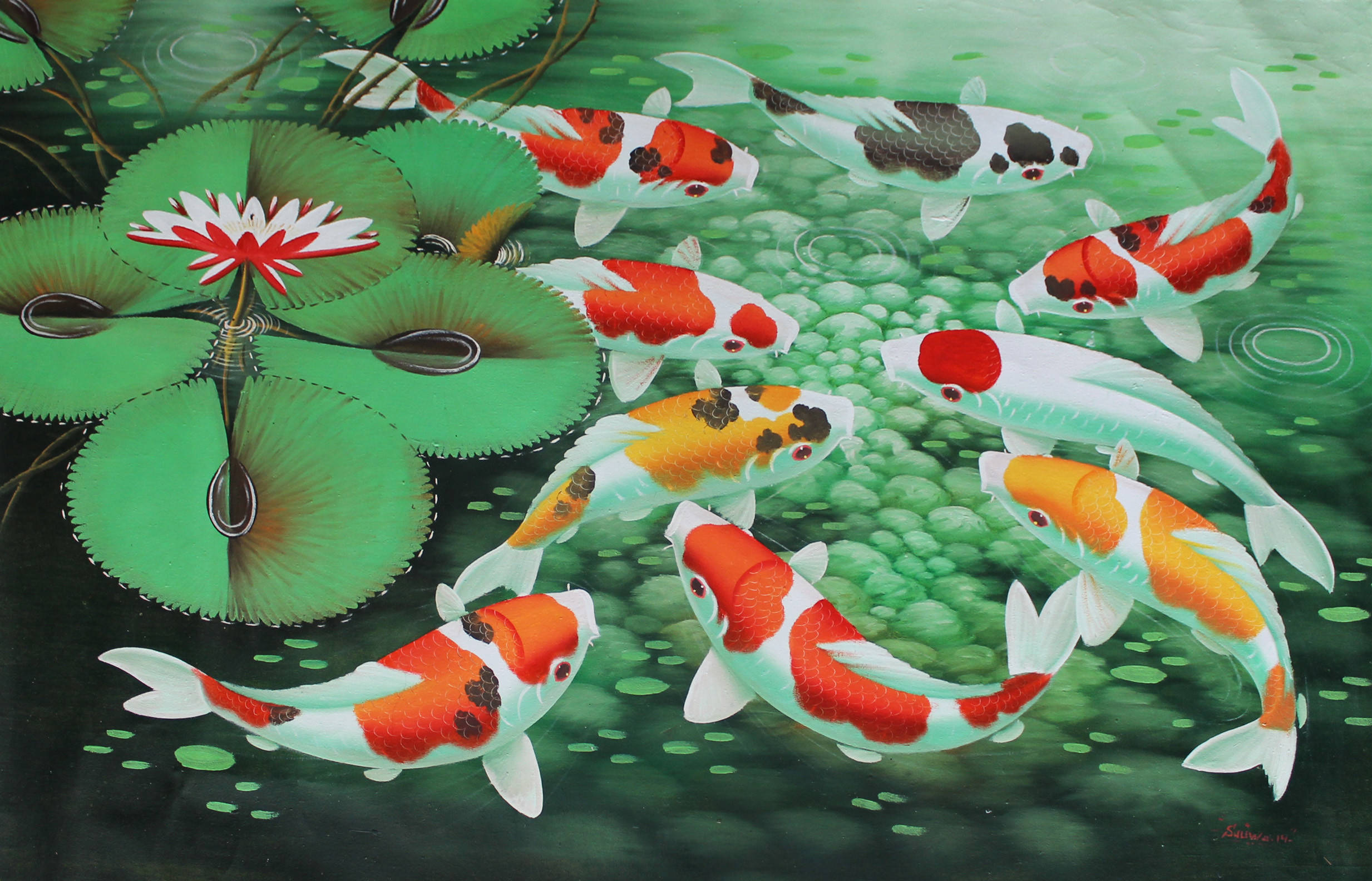 魚 桌布 壁紙 — 色彩繽紛的錦鯉在寧靜的池塘中，在茂盛的綠色睡蓮葉和盛開的睡蓮之間優雅地游動。