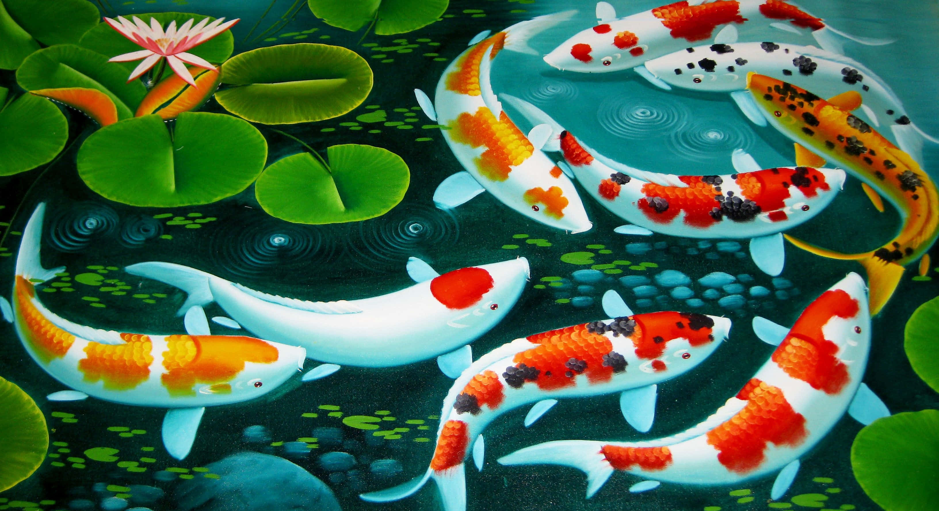 Fish Desktop 桌布 壁紙 — 色彩繽紛的錦鯉在翠綠的荷葉和粉紅色的睡蓮之間優雅地游動，池塘寧靜祥和。