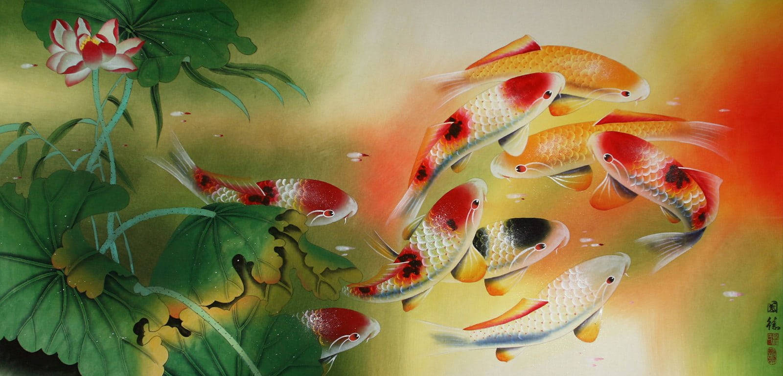 Beautiful Fish 桌布 壁紙 — 色彩繽紛的錦鯉在茂盛的綠色睡蓮葉和盛開的粉紅蓮花之間，在溫暖的金色水中優雅地游動。