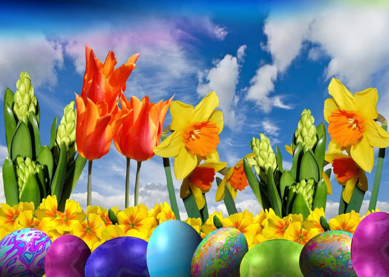 Easter 桌布 壁紙 — 色彩繽紛的鬱金香、水仙花和復活節彩蛋在藍天白雲下盛開。