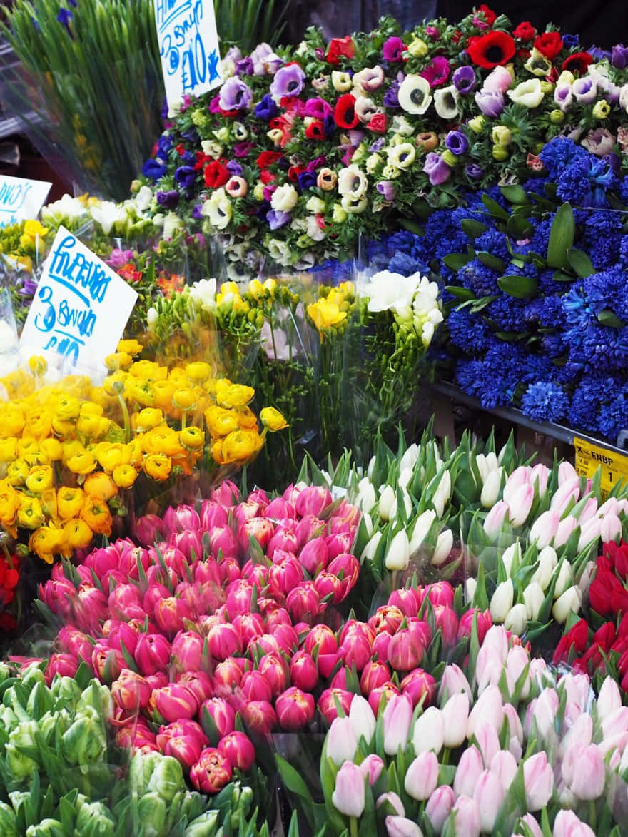 Flower Market 桌布 壁紙 — 色彩繽紛的鬱金香及其他花卉束在明亮日光下擠滿了熱鬧的市場攤位。