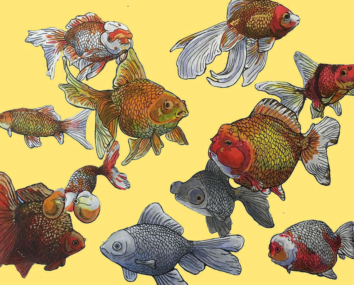 Goldfish 桌布 壁紙 — 色彩鮮豔的插圖金魚，擁有流動的魚鰭，在純黃色背景上動態游動。