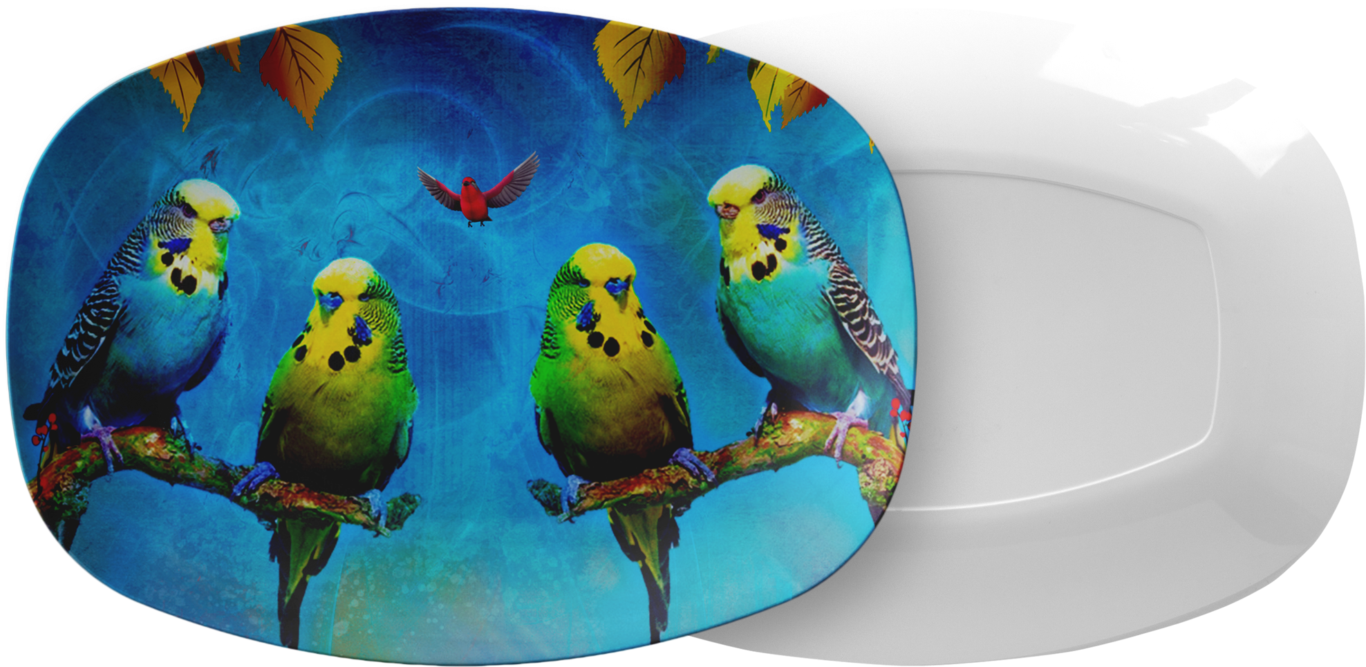 Birds Free 桌布 壁紙 — 色彩鮮豔的長尾鸚鵡棲息在樹枝上，背景是旋轉的藍色和飄落的秋葉。