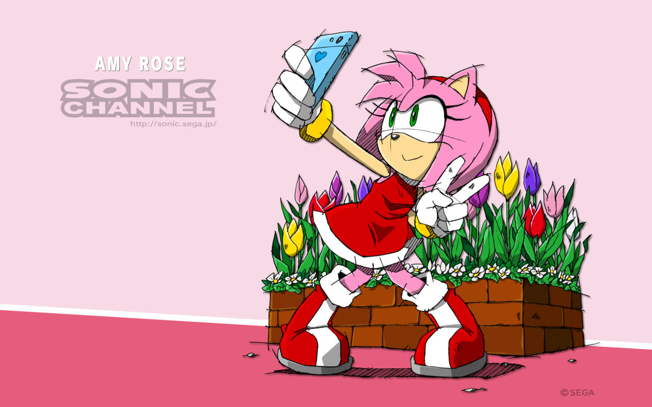 Amy Rose 桌布 壁紙 — 艾米·羅斯在色彩繽紛的鬱金香花園旁，用智慧型手機在明亮的粉紅色環境中開心地自拍。