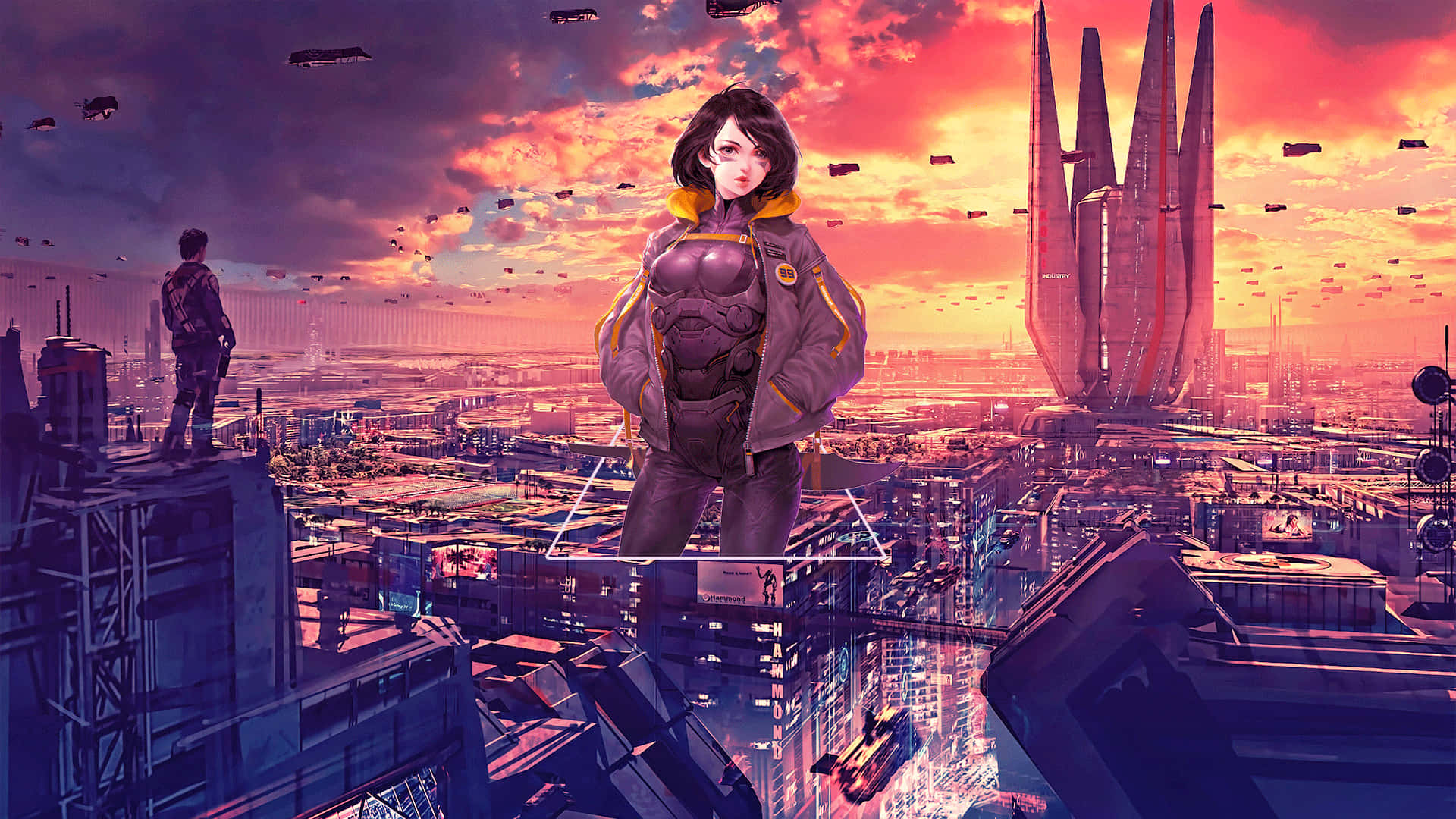 艾莉塔背景 壁紙