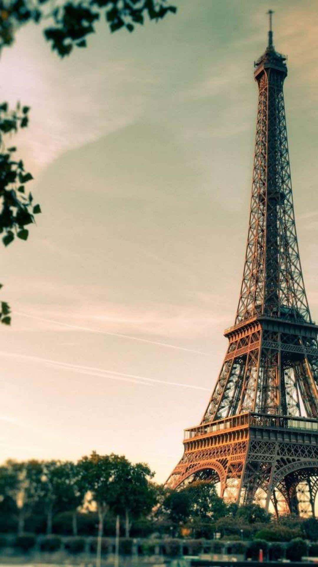 Eiffel Tower 桌布 壁紙 — 艾菲爾鐵塔在日落時分高聳於柔和的金色天空下，被茂密的綠色樹枝環繞。
