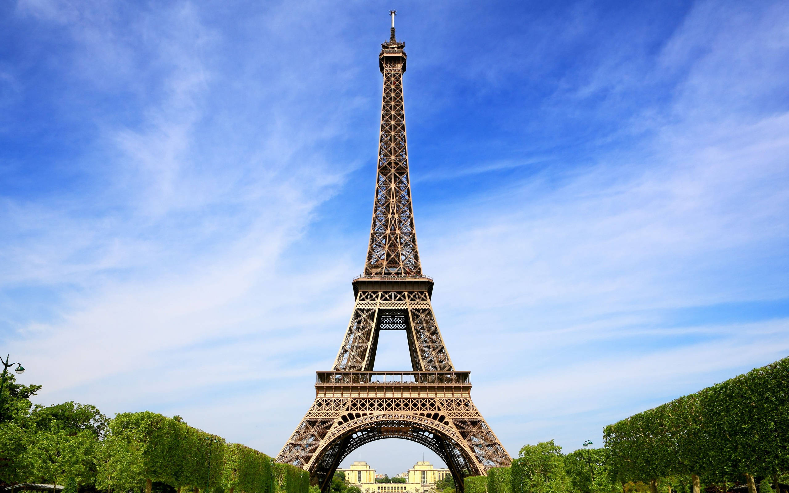 Eiffel Tower 桌布 壁紙 — 艾菲爾鐵塔在明亮的藍天下高聳入雲，薄雲點綴，茂密的綠色樹籬環繞其底部。