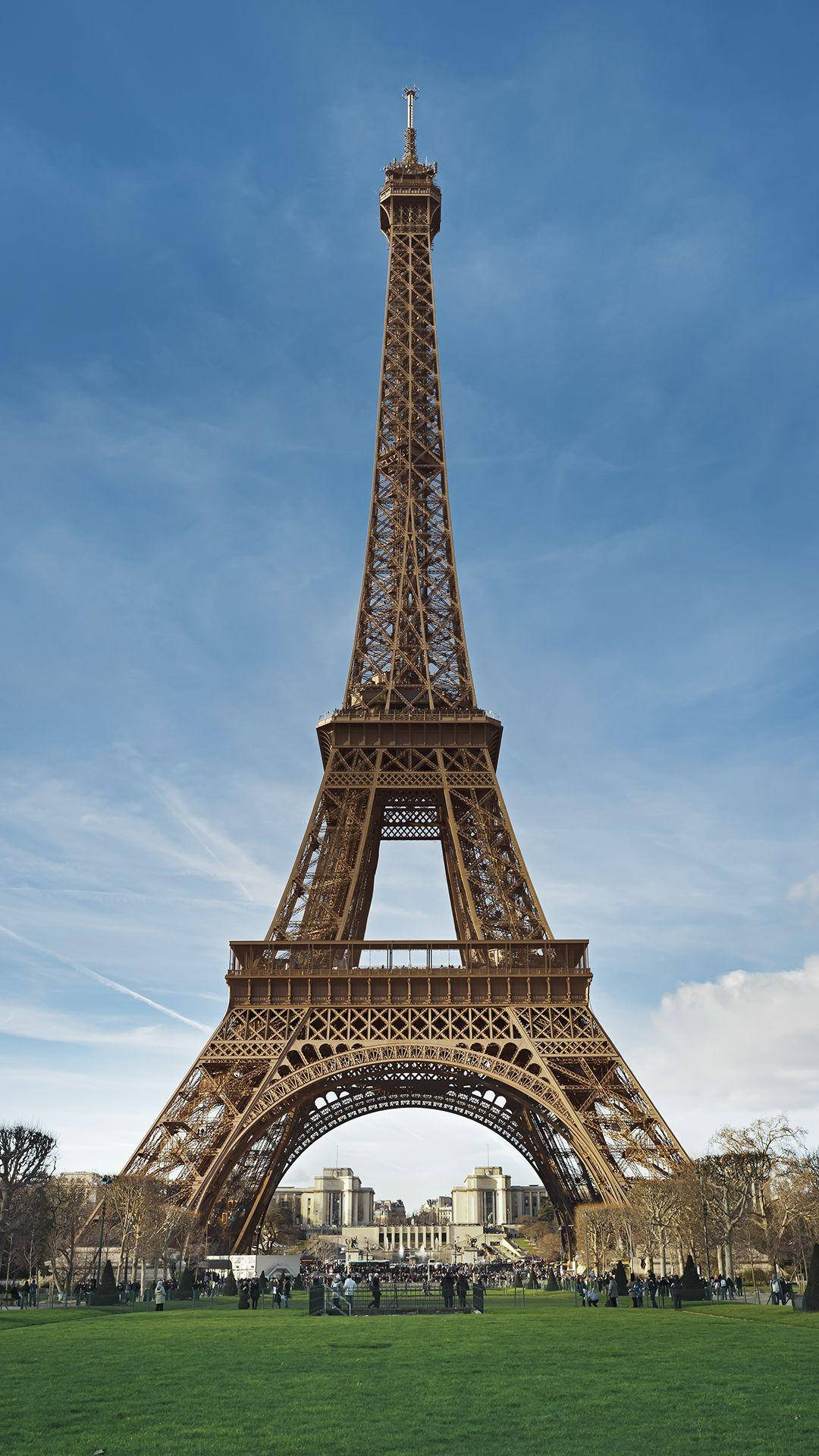 Paris Eiffel Tower 桌布 壁紙 — 艾菲爾鐵塔在晴朗的藍天和薄雲襯托下高聳入雲，周圍環繞著綠草和光禿的樹木。