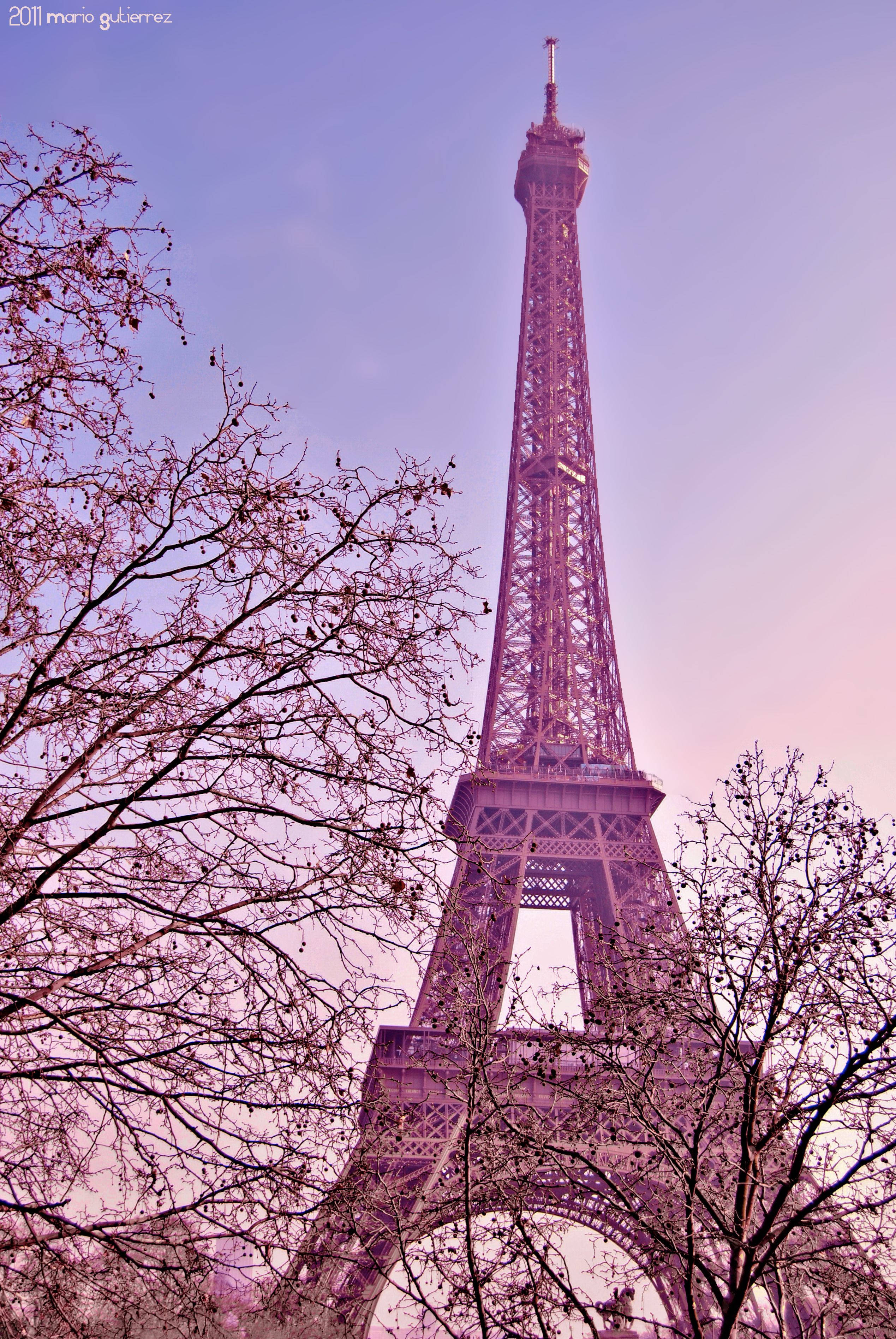 Paris Eiffel Tower 桌布 壁紙 — 艾菲爾鐵塔在柔和的粉紅色和紫色暮色天空襯托下高聳入雲，周圍是光禿禿的樹枝。