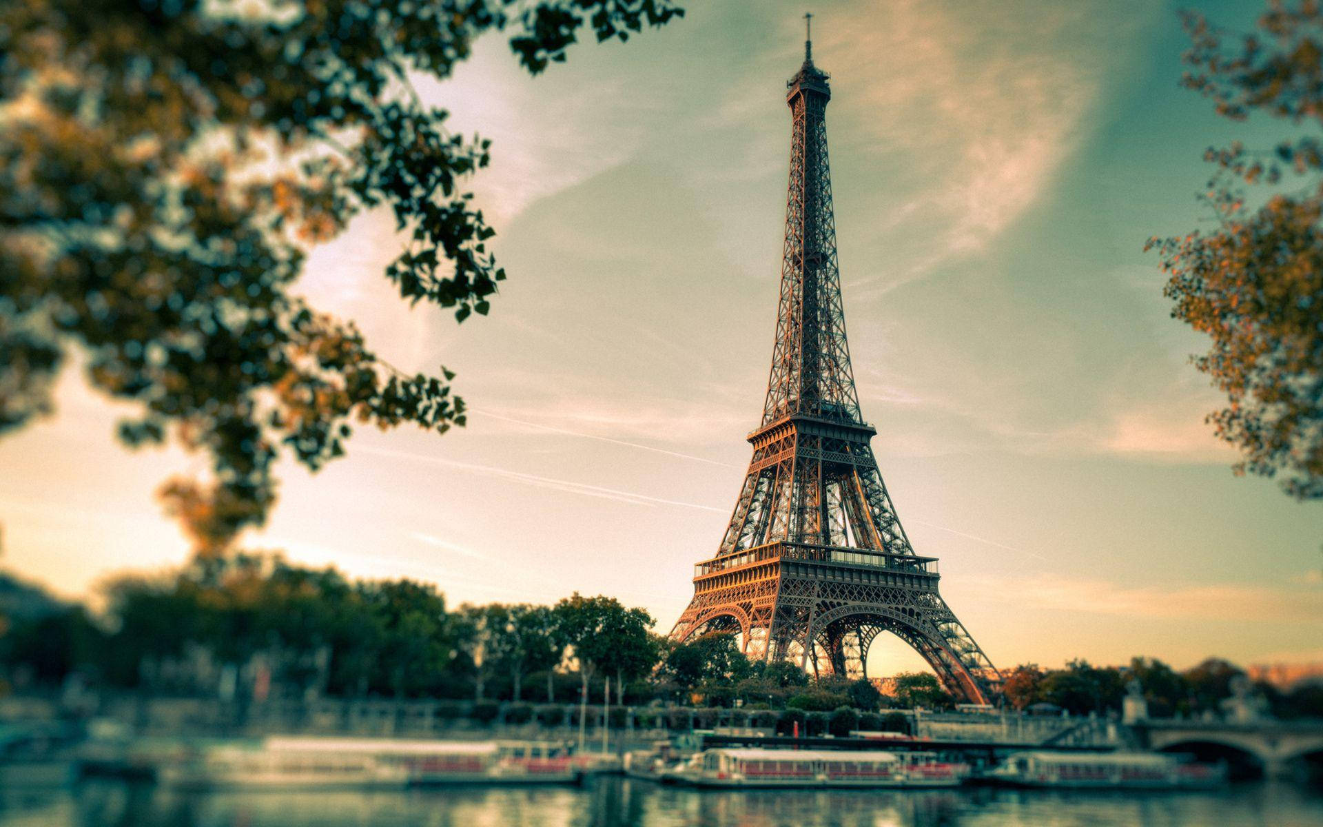 Eiffel Tower 桌布 壁紙 — 艾菲爾鐵塔在柔和的金色日落天空下高聳，被模糊的樹枝和反射的水面框住。