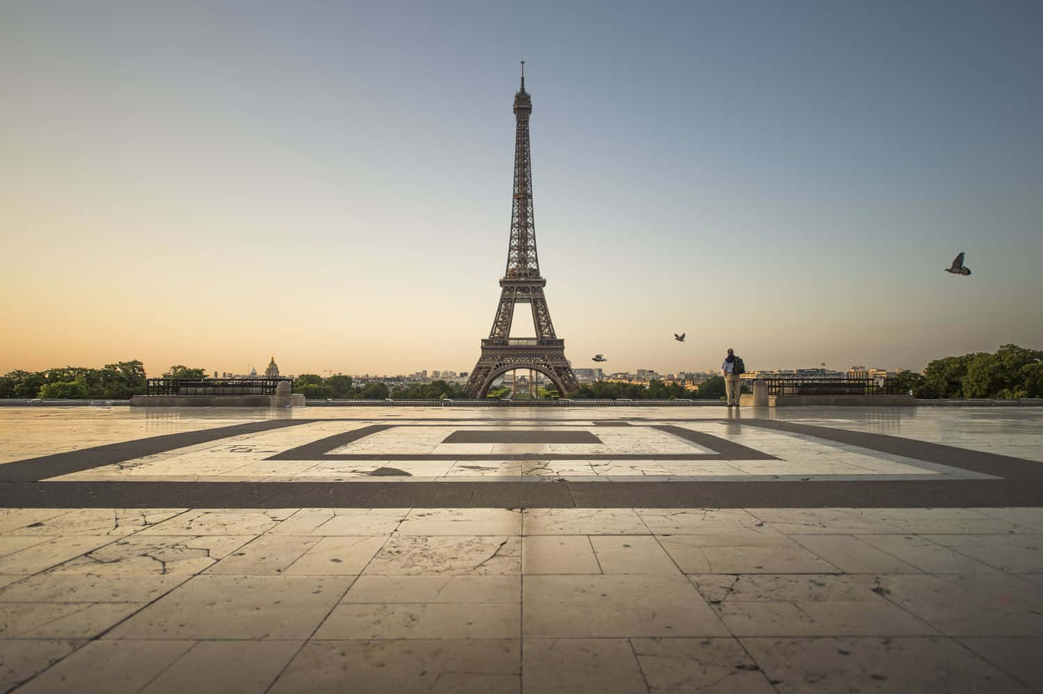 french 桌布 壁紙 — 艾菲爾鐵塔在柔和的金色日落天空下高聳矗立，一個孤獨的身影走過寬闊的瓷磚廣場，附近有鳥兒翱翔。