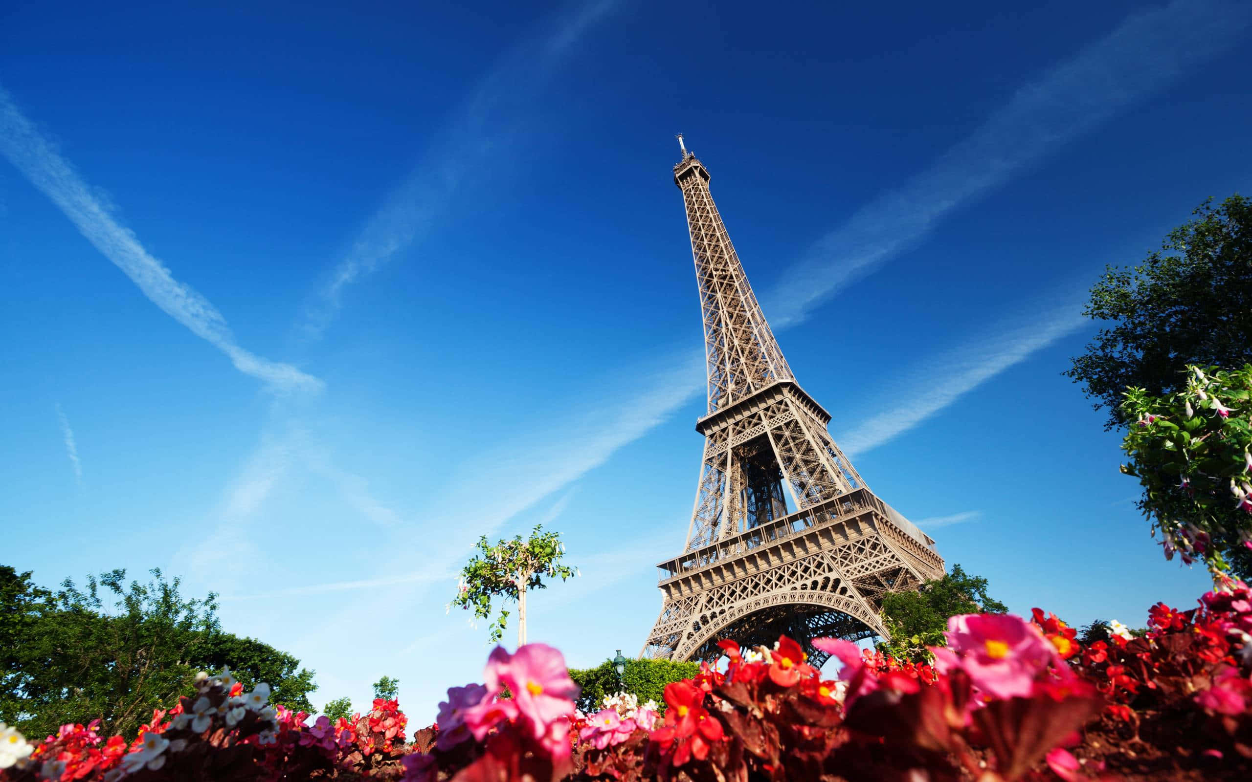 Eiffel Tower 桌布 壁紙 — 艾菲爾鐵塔在清澈的藍天下雄偉地聳立，前景中鮮豔的粉紅色和紅色花朵構成畫框。