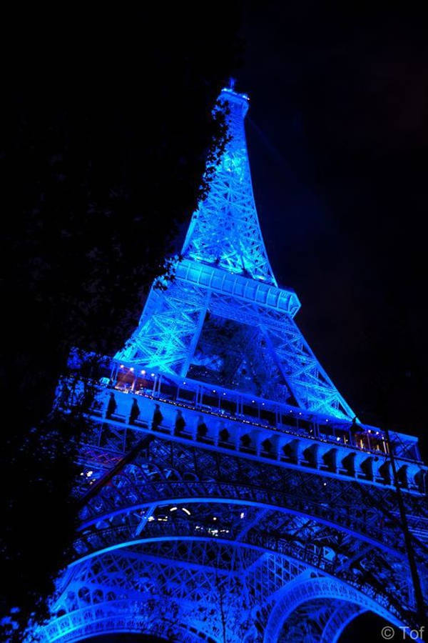 dark blue aesthetic tumblr 桌布 壁紙 — 艾菲爾鐵塔在漆黑的夜空中發出電光藍色光芒，剪影般的樹木襯托出其複雜的鐵藝結構。