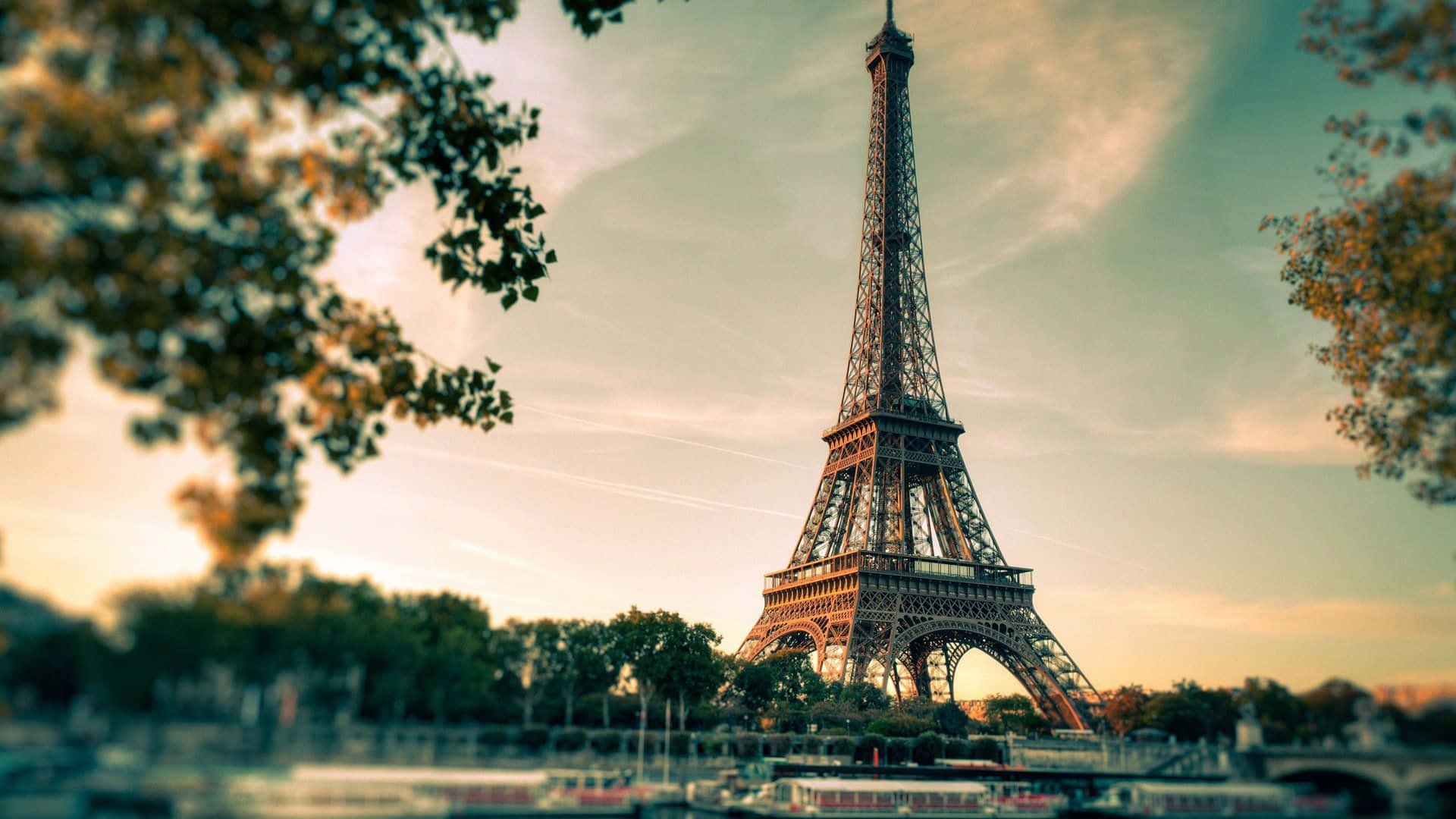 Paris Desktop 桌布 壁紙 — 艾菲爾鐵塔在秋葉的襯托下，聳立在柔和的金色日落天空前。