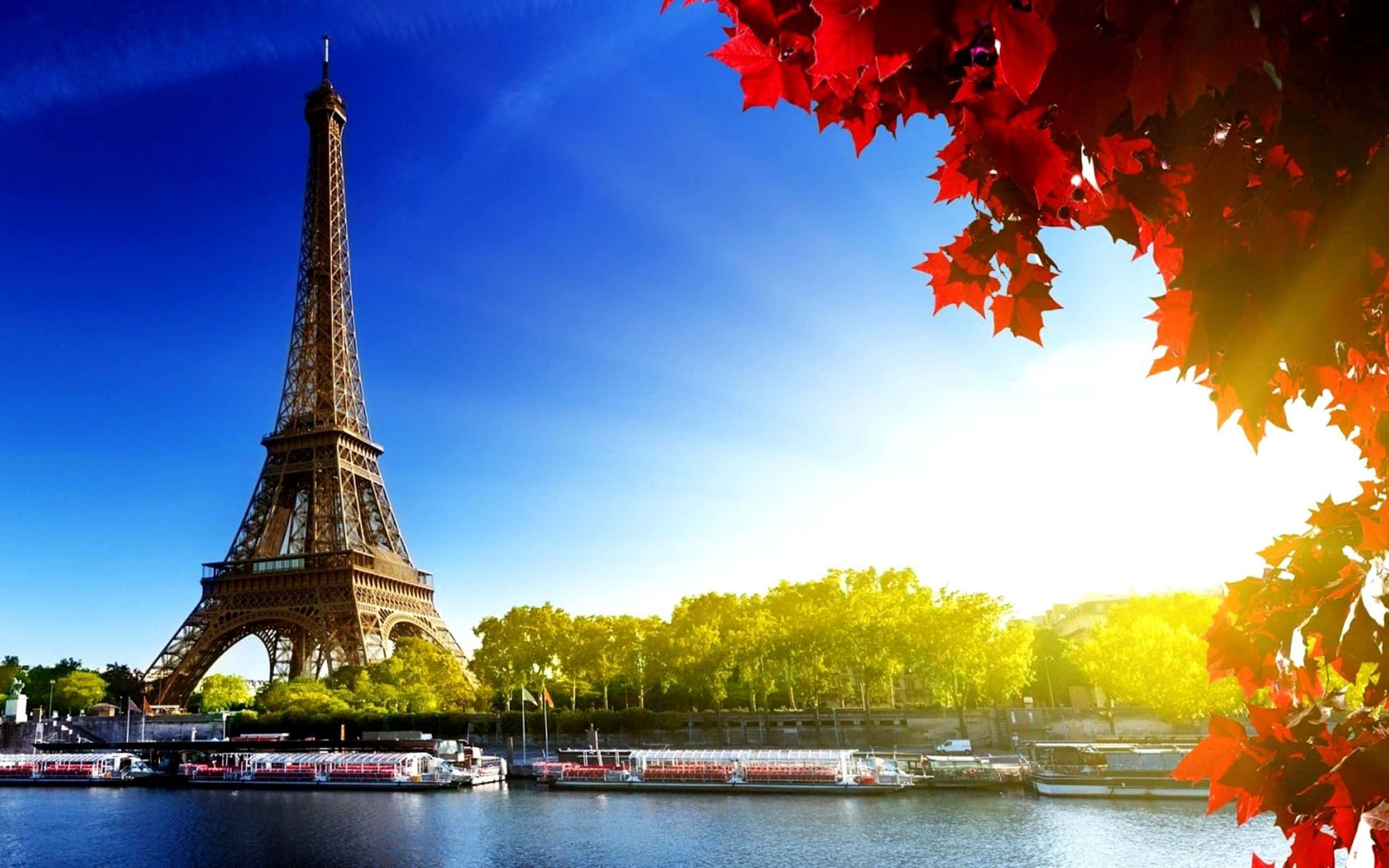 Paris Desktop 桌布 壁紙 — 艾菲爾鐵塔聳立在塞納河畔，在明亮的藍天下，被鮮紅的秋葉環繞。