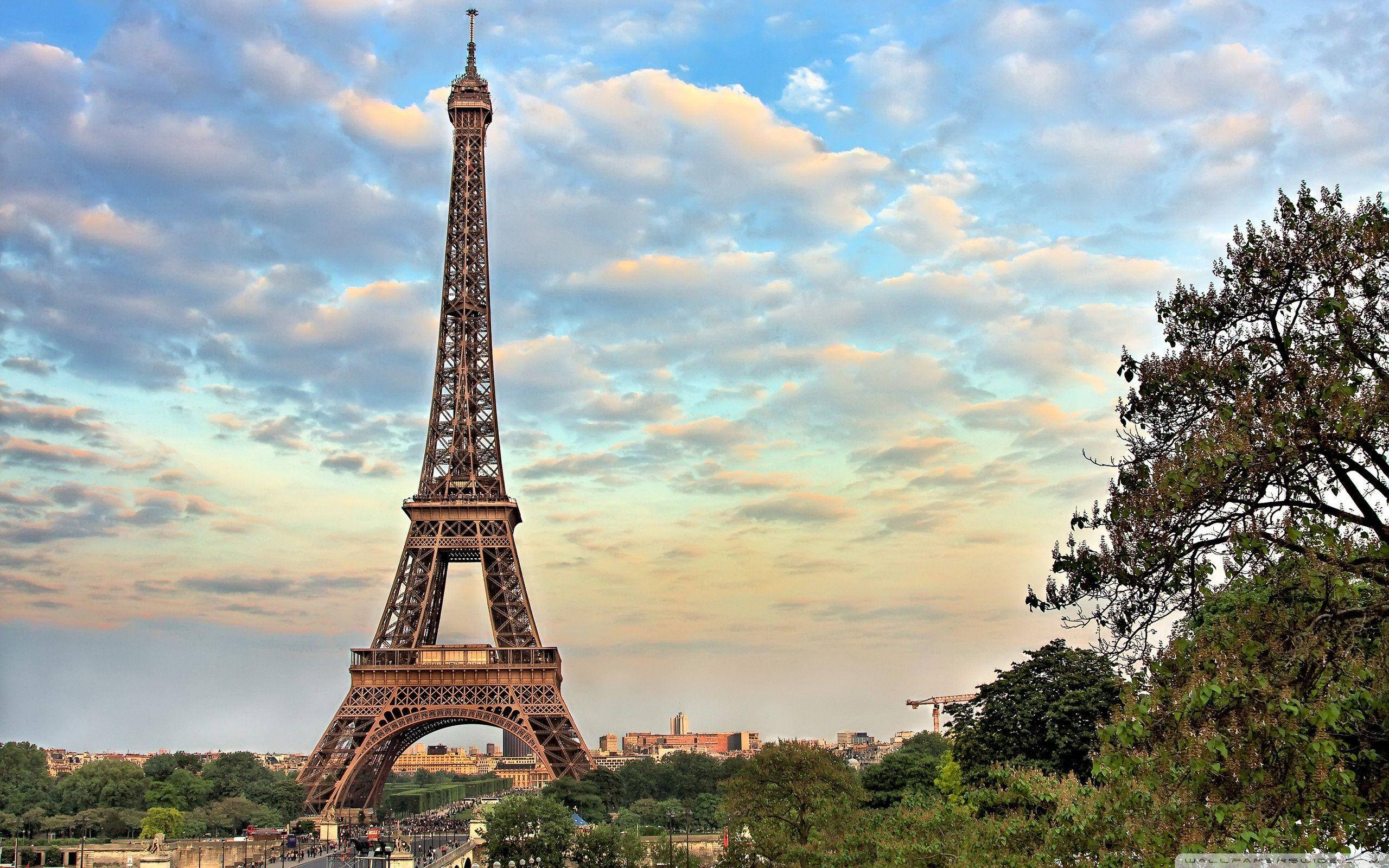 Paris Eiffel Tower 桌布 壁紙 — 艾菲爾鐵塔高聳入雲，映襯著柔和的金色天空，點綴著散落的雲朵和茂密的綠樹，勾勒出這座標誌性的巴黎地標。