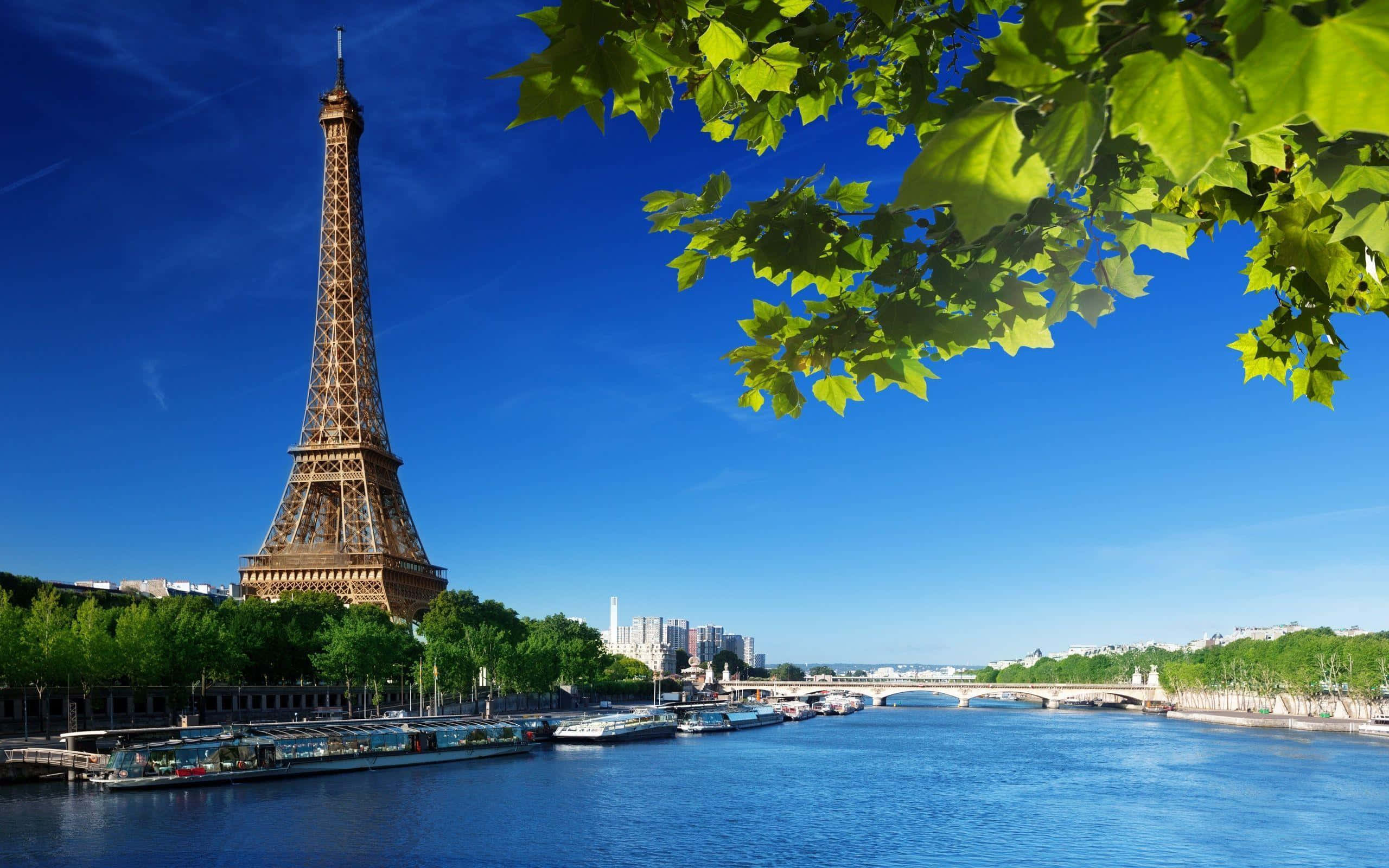 Eiffel Tower 桌布 壁紙 — 艾菲爾鐵塔高聳於塞納河畔，在清澈的藍天下，被鮮綠的樹葉環繞。