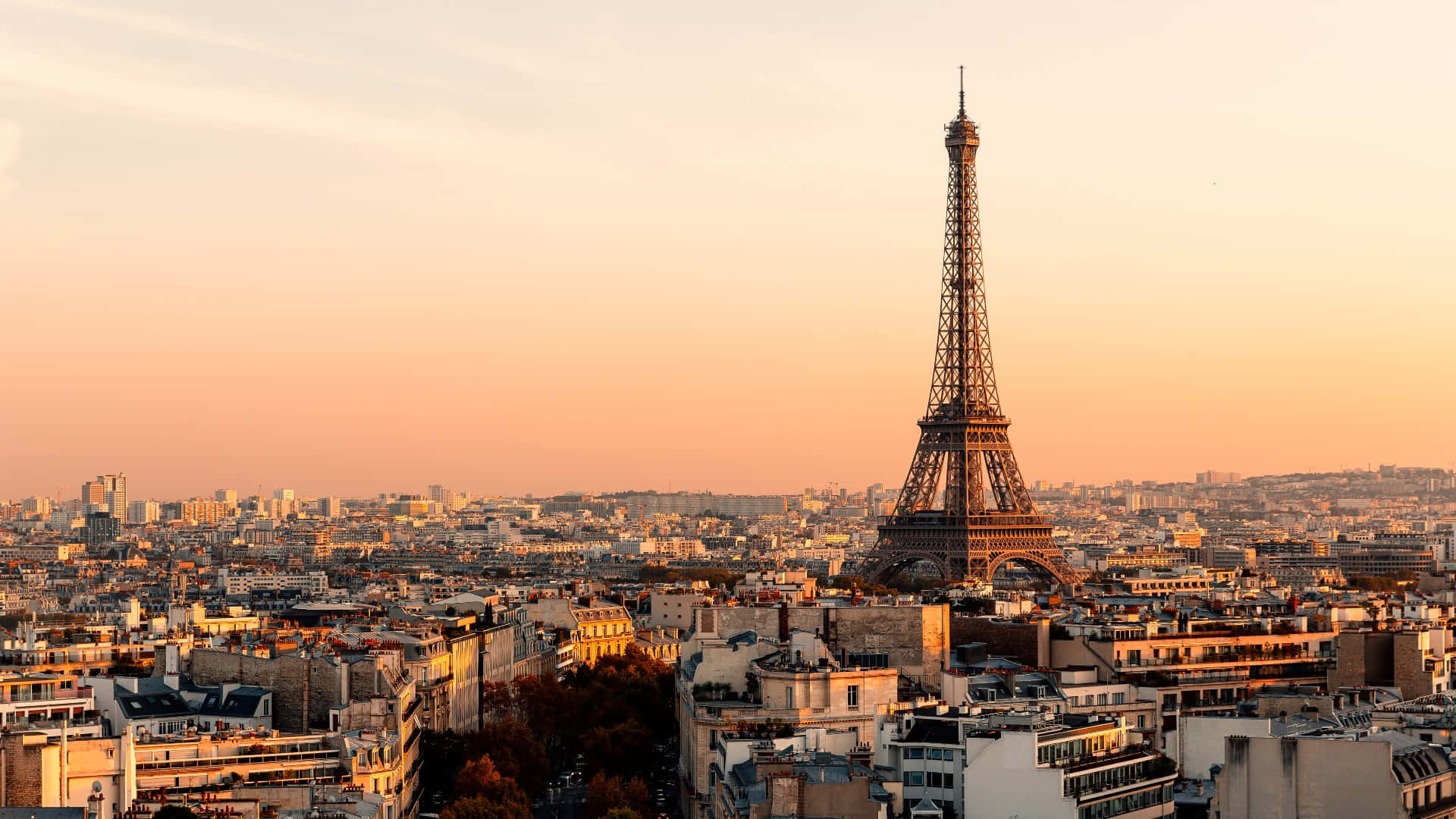 french 桌布 壁紙 — 艾菲爾鐵塔高聳於巴黎屋頂之上，沐浴在溫暖的金色夕陽中。