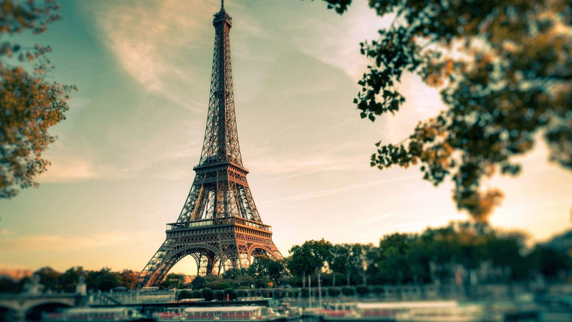 Eiffel Tower 桌布 壁紙 — 艾菲爾鐵塔高高聳立，被金色樹葉環繞，映襯著柔和的日落天空，下方有模糊的樹木和水面。