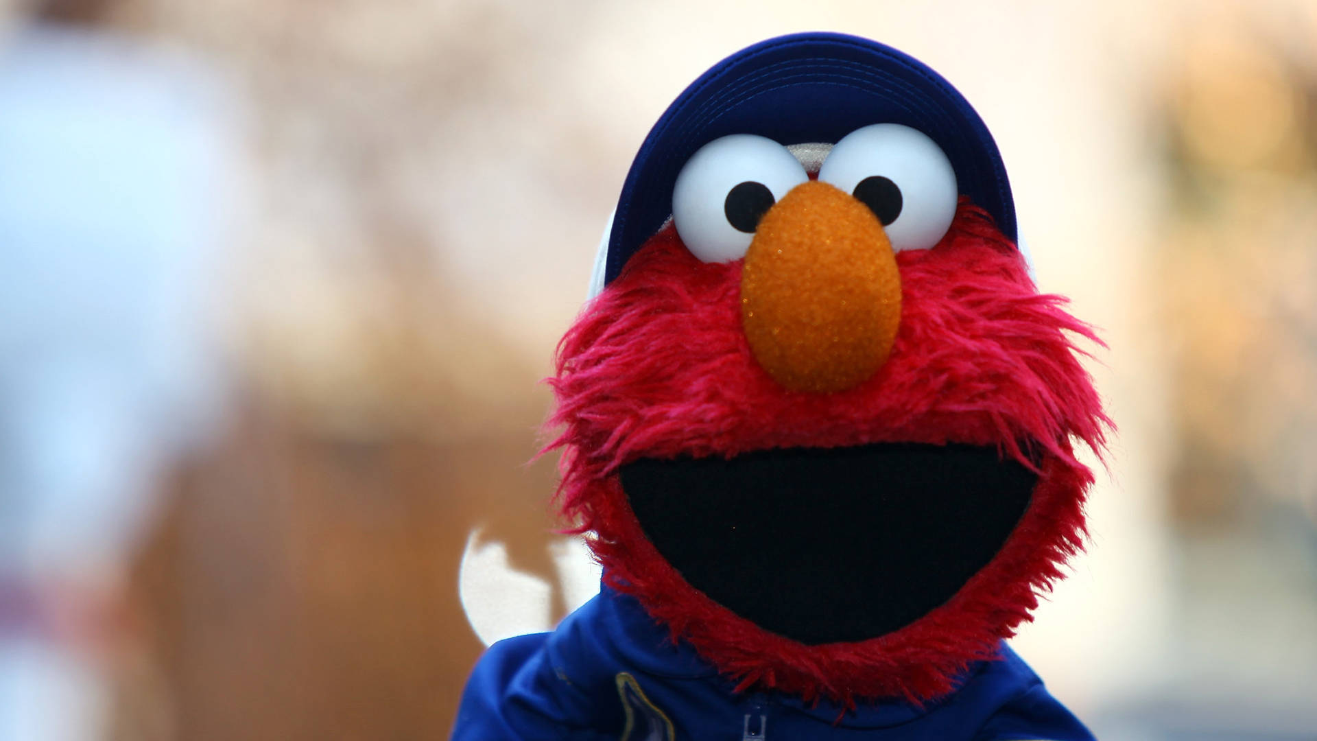 Elmo 桌布 壁紙 — 艾蒙近照，戴著藍色帽子和連帽衫，背景模糊的戶外。