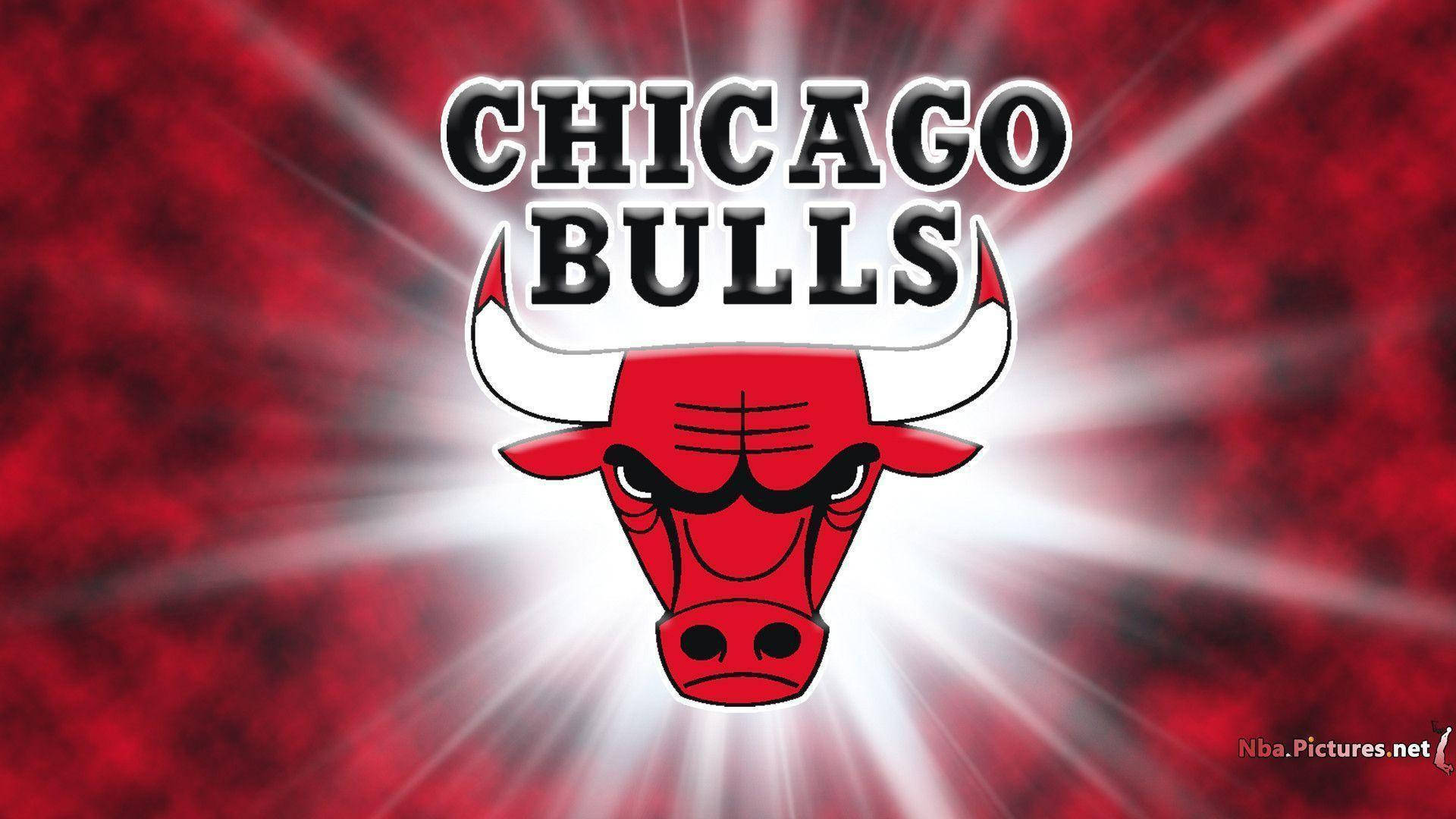 Chicago Bulls 桌布 壁紙 — 芝加哥公牛隊標誌，紅色公牛頭和粗體文字在紋理紅色背景上散發出明亮的白色光芒。