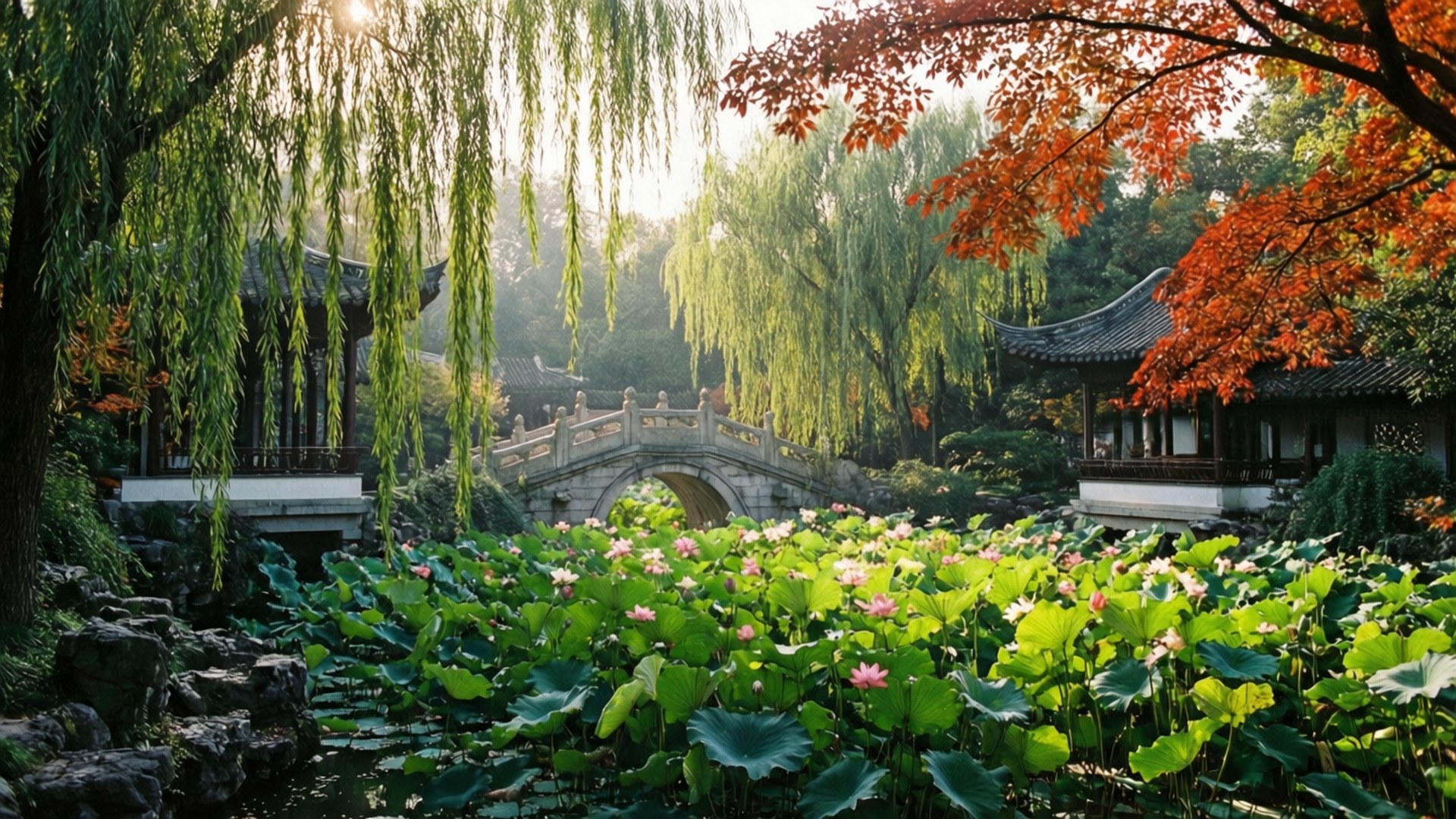 芝山公園秋色 壁紙