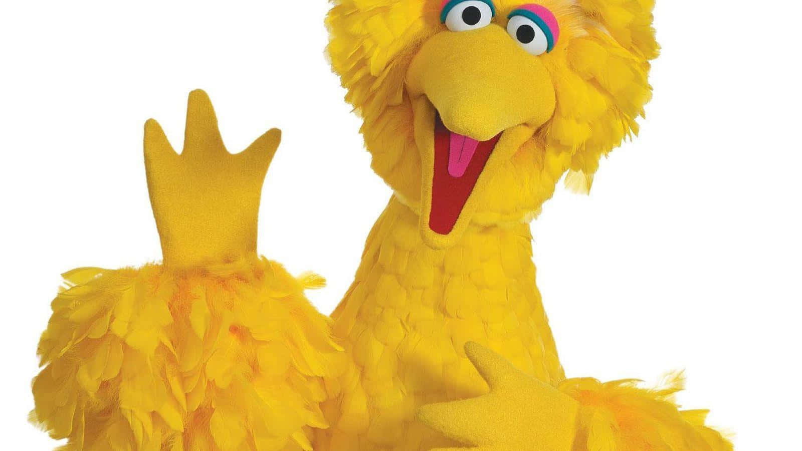 Big Bird 桌布 壁紙 — 芝麻街的 Big Bird 在白色背景前，以亮黃色蓬鬆身體和張開的喙愉快地揮手。