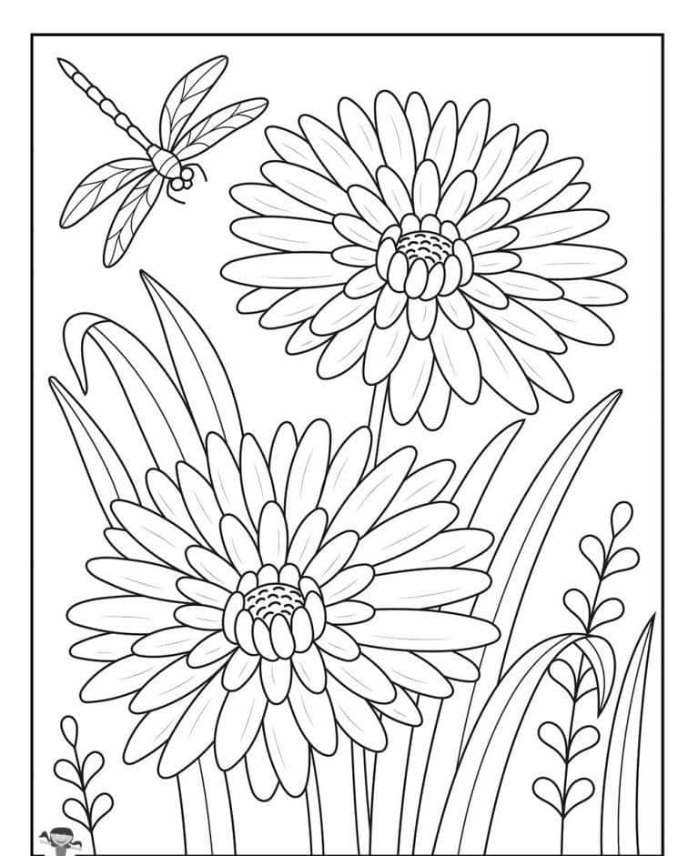 Cute Coloring 桌布 壁紙 — 花園環境中兩朵大雛菊和上方盤旋的蜻蜓的黑白線條畫。