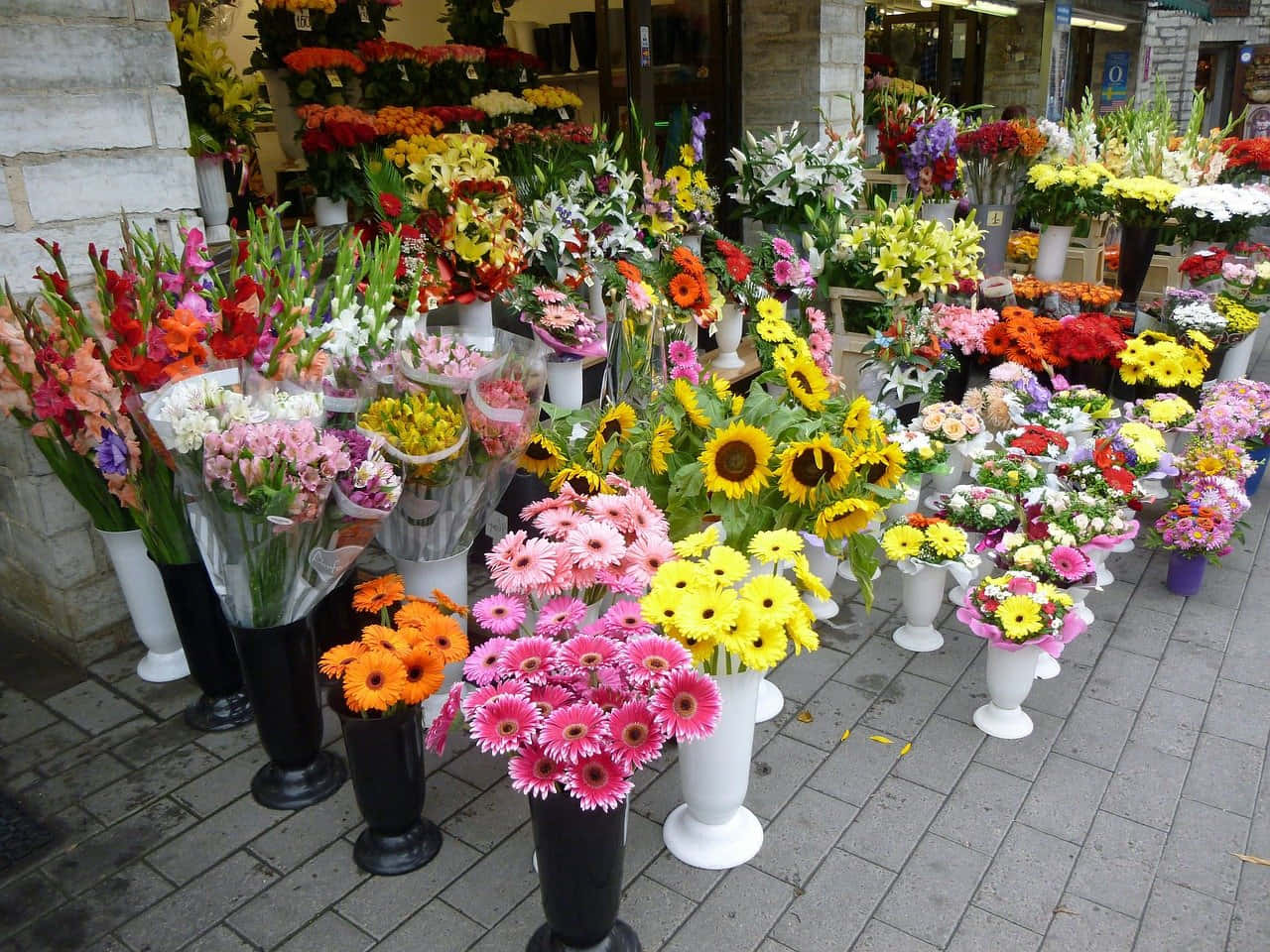 Florist 桌布 壁紙 — 花店外的石砌人行道上，擺放著白色和黑色花瓶插著的向日葵、非洲菊和劍蘭的鮮豔花束。