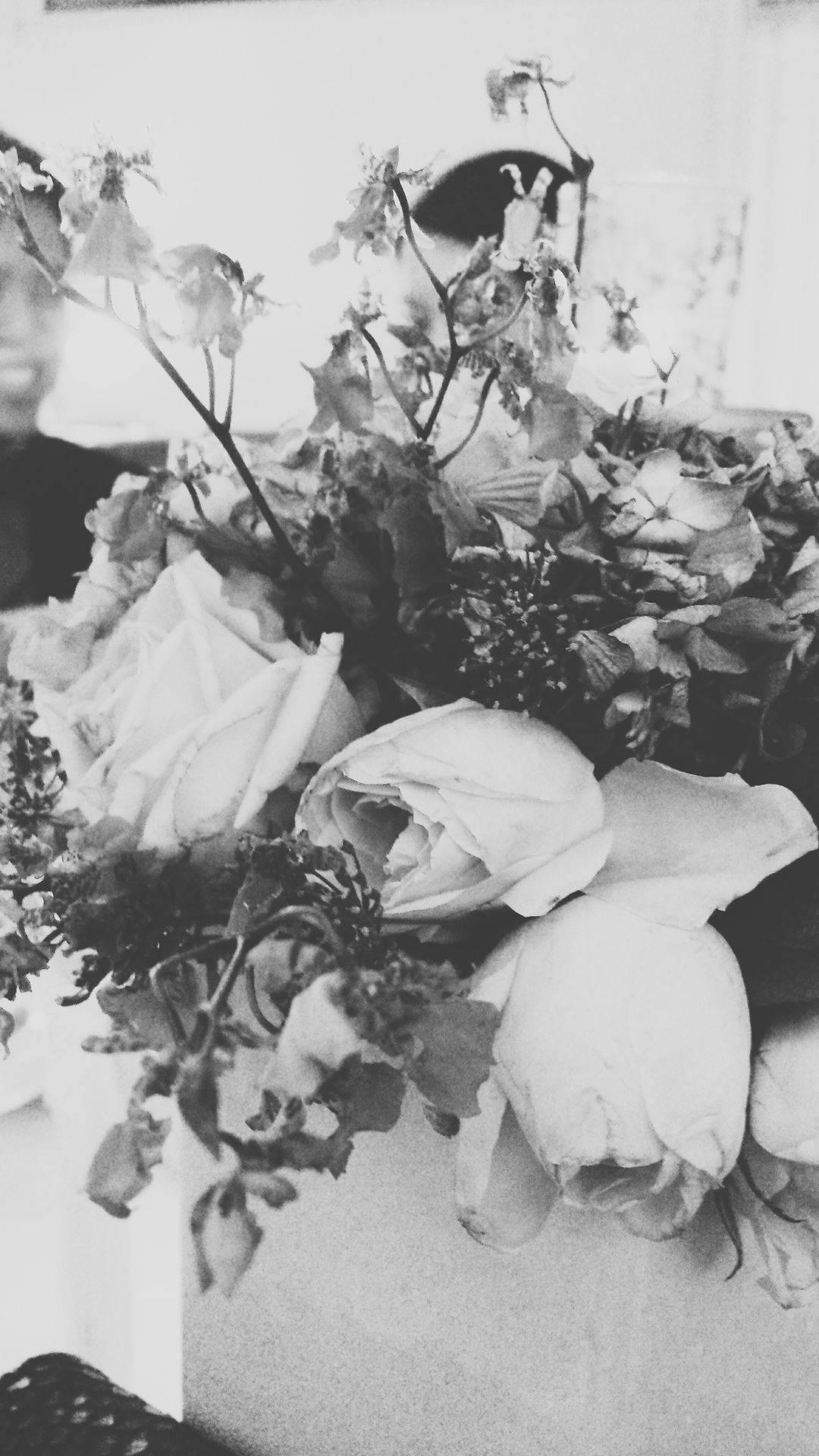 Black And White iPhone 桌布 壁紙 — 花瓶裡凋謝花朵的黑白特寫，帶有柔和陰影和細膩質感。