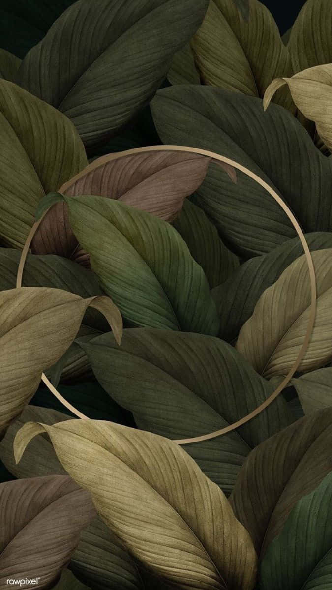 Green And Brown 桌布 壁紙 — 茂密熱帶葉子的特寫，呈現深綠色和大地色調，以細金色圓圈框住，背景為深色。