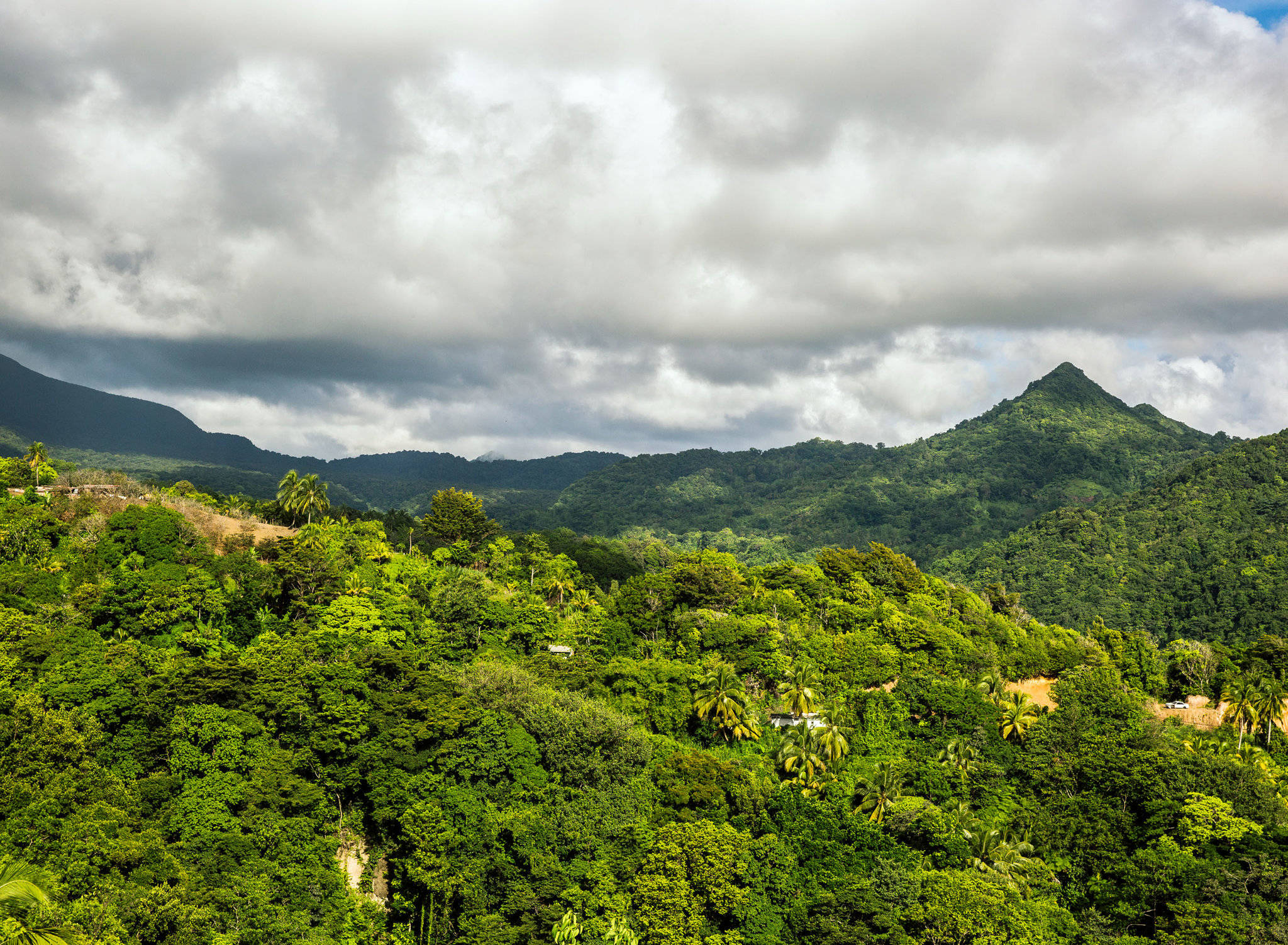 Rainforest 桌布 壁紙 — 茂密的熱帶森林覆蓋著蒼翠的綠色山脈，天空烏雲密布，氣勢磅礴。