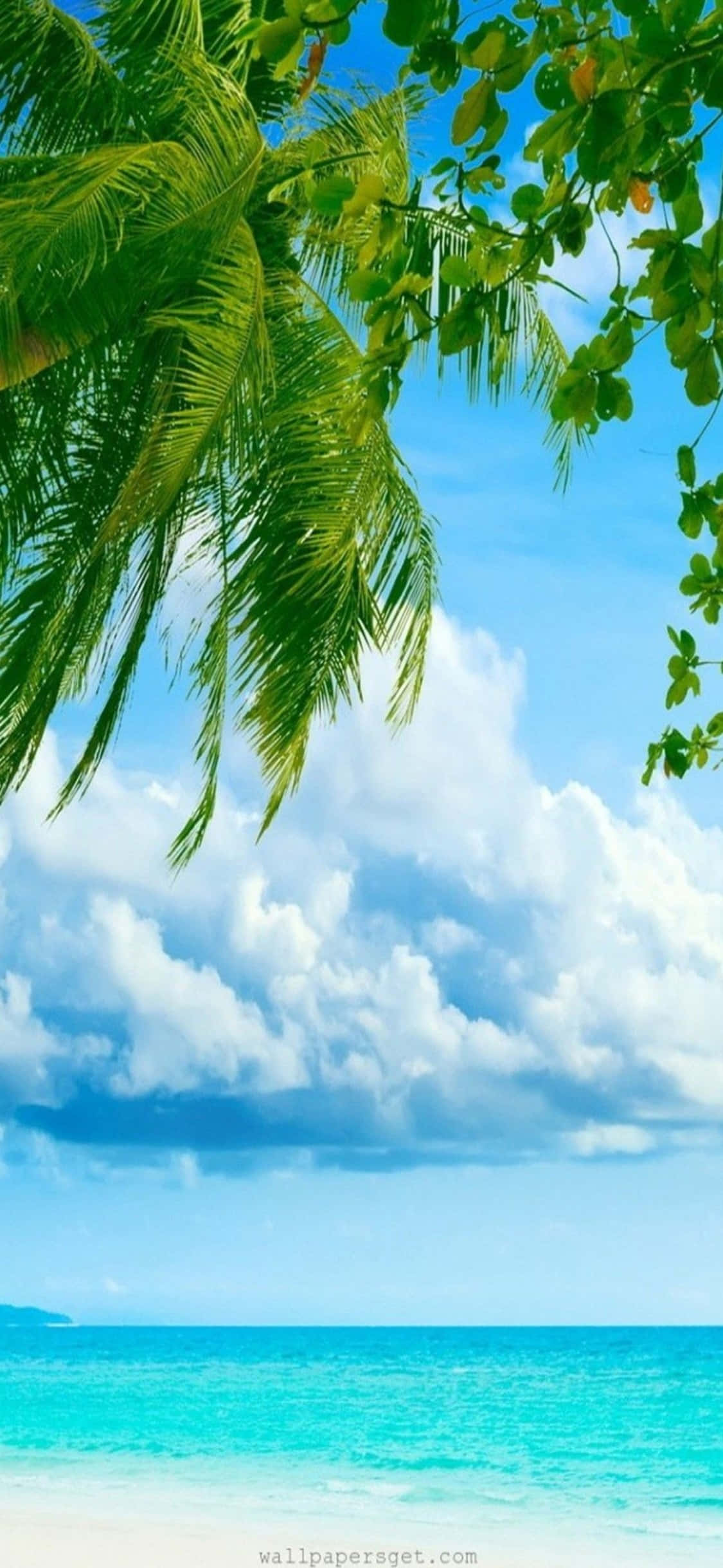 iPhone Xs Beach 桌布 壁紙 — 茂密的綠色棕櫚葉框住了在明亮藍天和蓬鬆白雲下的充滿活力的碧綠海洋。