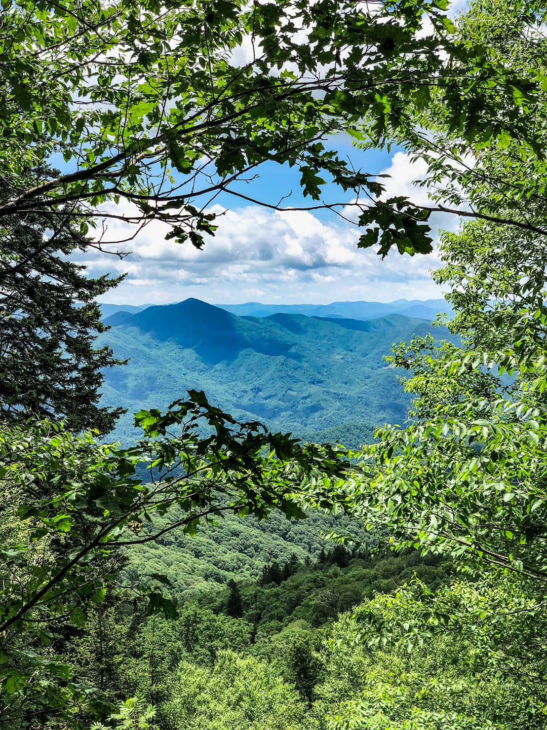 Blue Ridge Mountains 桌布 壁紙 — 茂密的綠色樹葉框住了在明亮天空和蓬鬆白雲下連綿起伏的藍色山脈的廣闊景色。