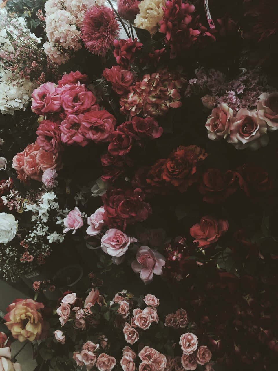 Dark Flower Aesthetic 桌布 壁紙 — 茂密的花卉佈置，深紅、粉紅和白色在陰暗的背景下綻放。