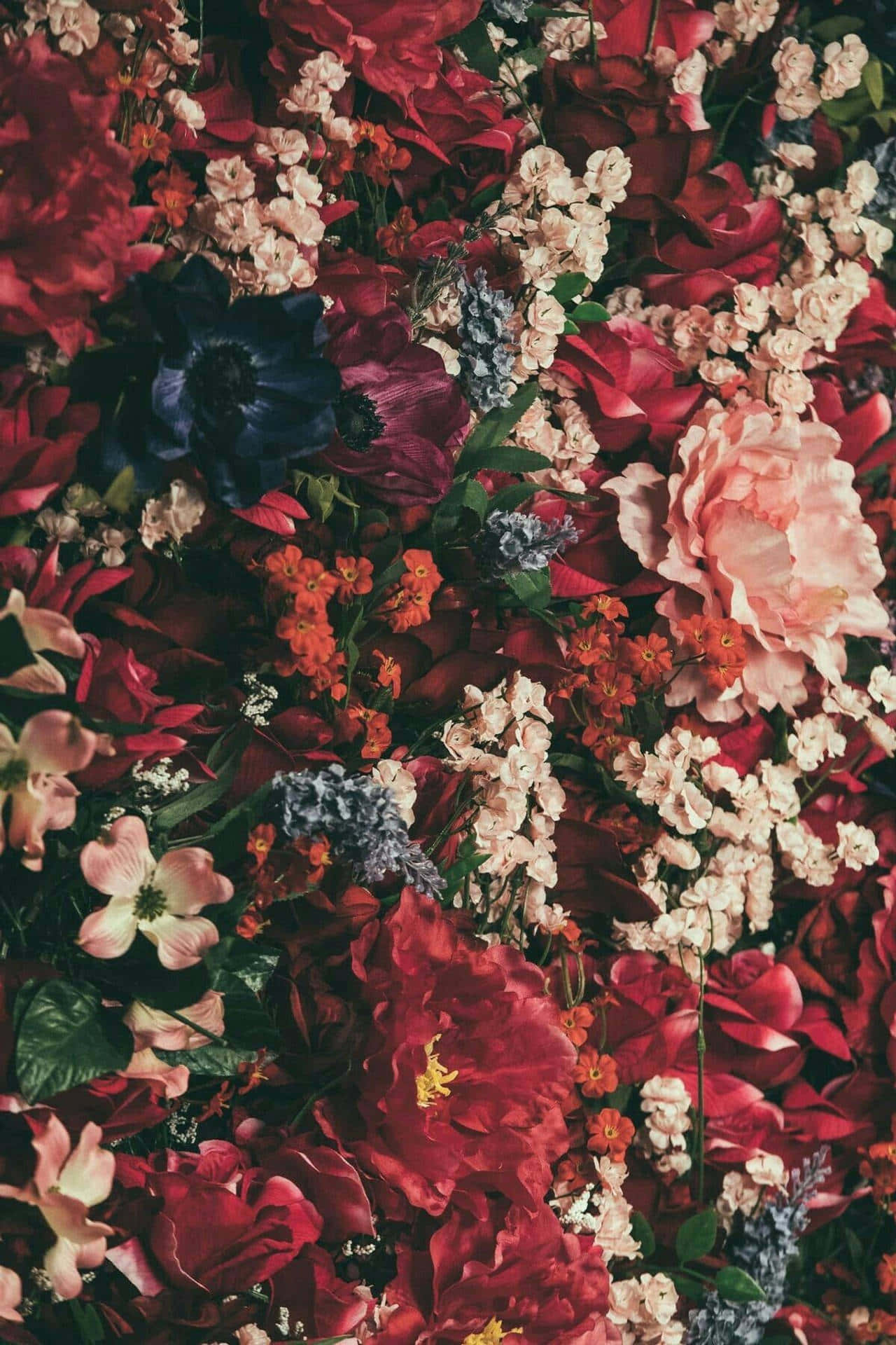 Aesthetic Floral 桌布 壁紙 — 茂密的花卉佈置，深紅色、粉紅色和橙色在深綠色葉子中綻放。