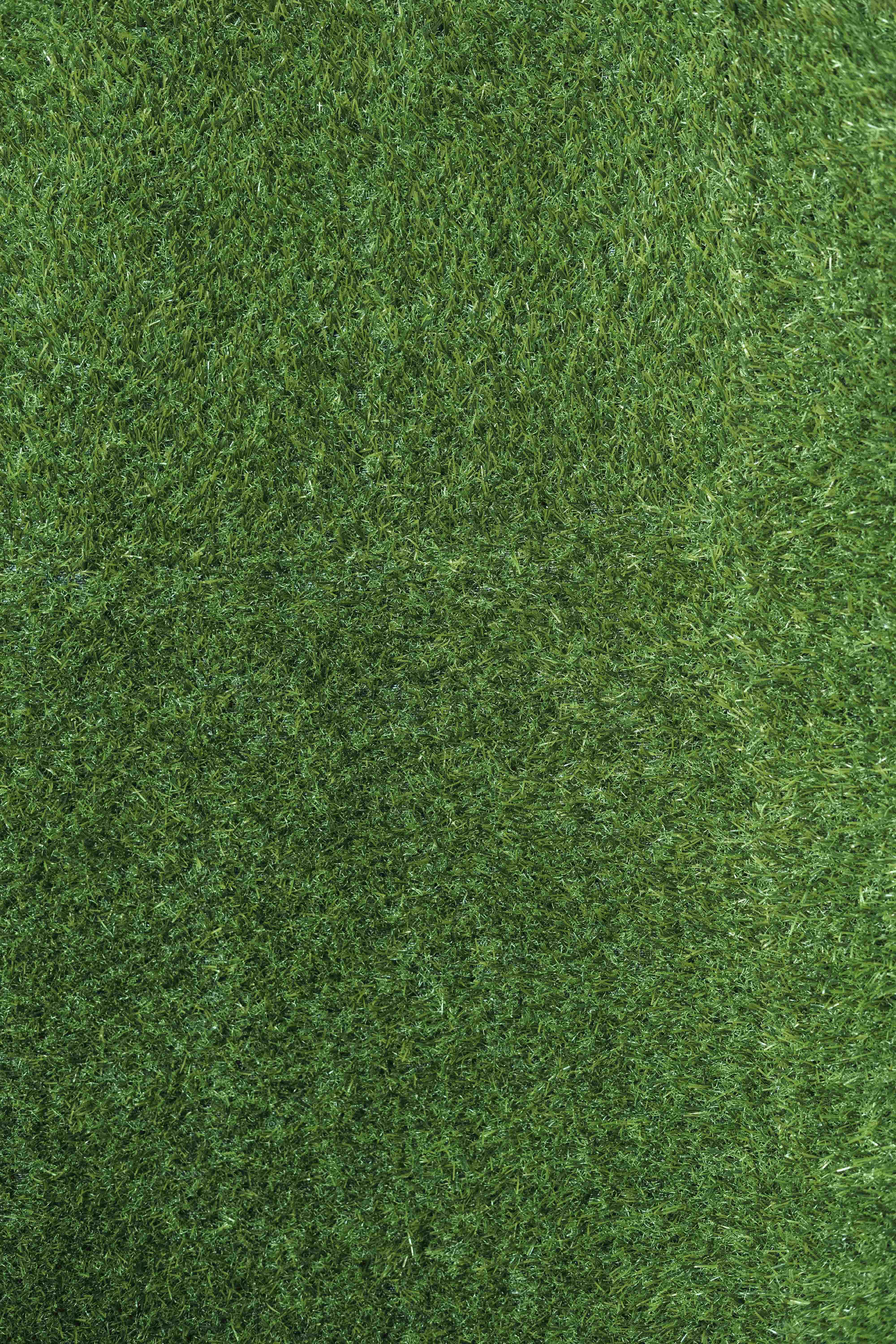 Grass 桌布 壁紙 — 茂密綠色人造草皮的近距離特寫，具有不同的葉片長度和自然質感。