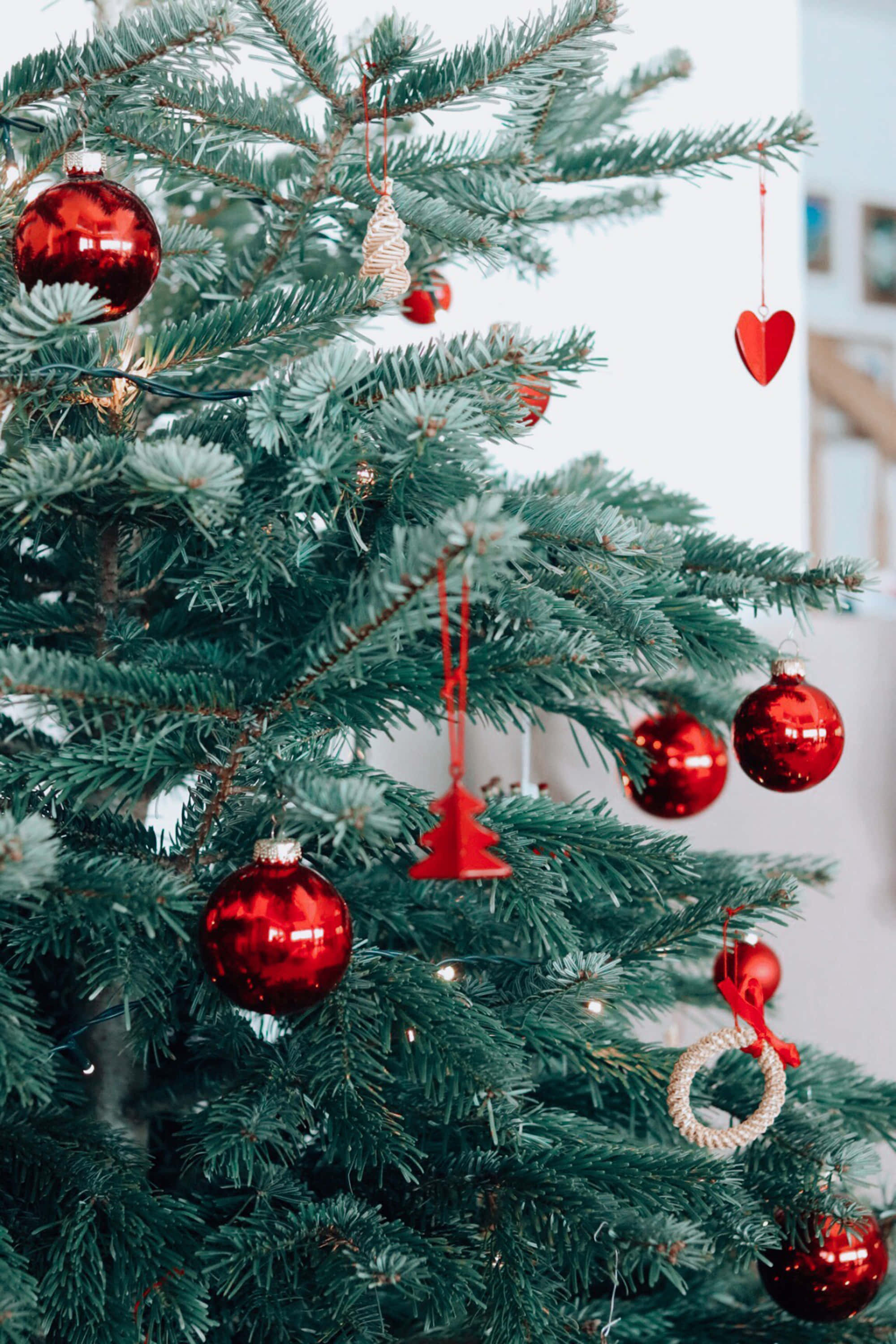 Cute Christmas Tree 桌布 壁紙 — 茂密綠色聖誕樹的特寫，飾有閃亮的紅色裝飾品和精緻的紅色心形裝飾。