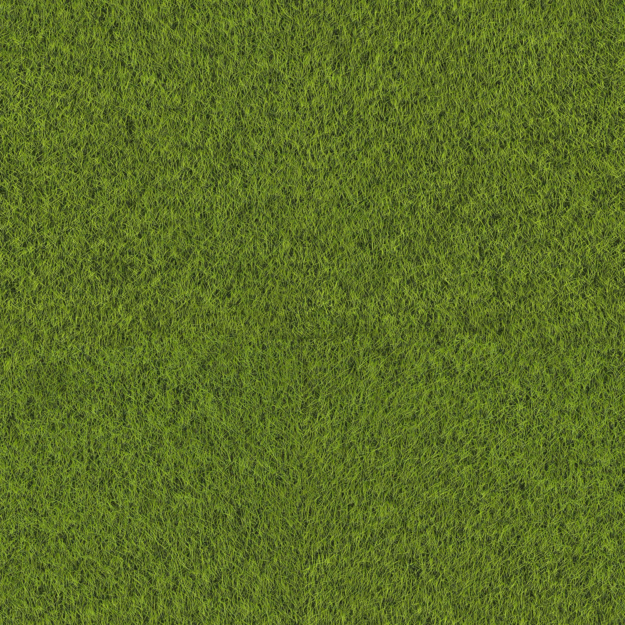 Grass Texture 桌布 壁紙 — 茂密綠色草葉的特寫視圖，具有自然紋理和微妙的色調變化。