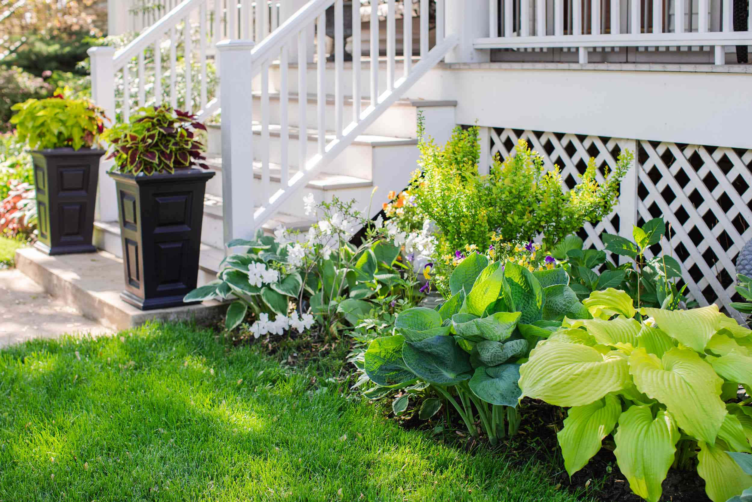 Garden Design 桌布 壁紙 — 茂盛的綠色草坪環繞著白色門廊樓梯，樓梯上擺放著盆栽植物和充滿活力的葉子，沐浴在充足的陽光下。