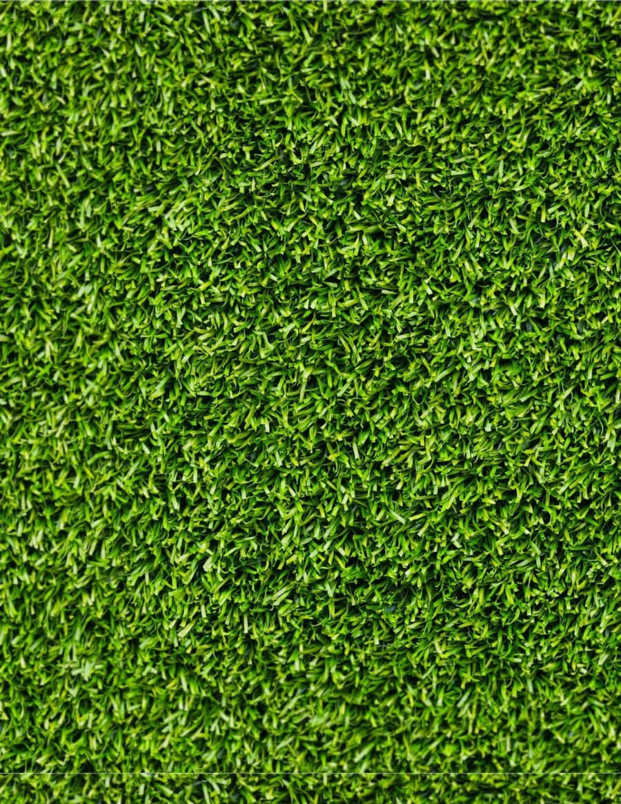 Grass Texture 桌布 壁紙 — 茂盛鮮綠色人造草的近距離特寫，帶有細緻葉片和自然質感。