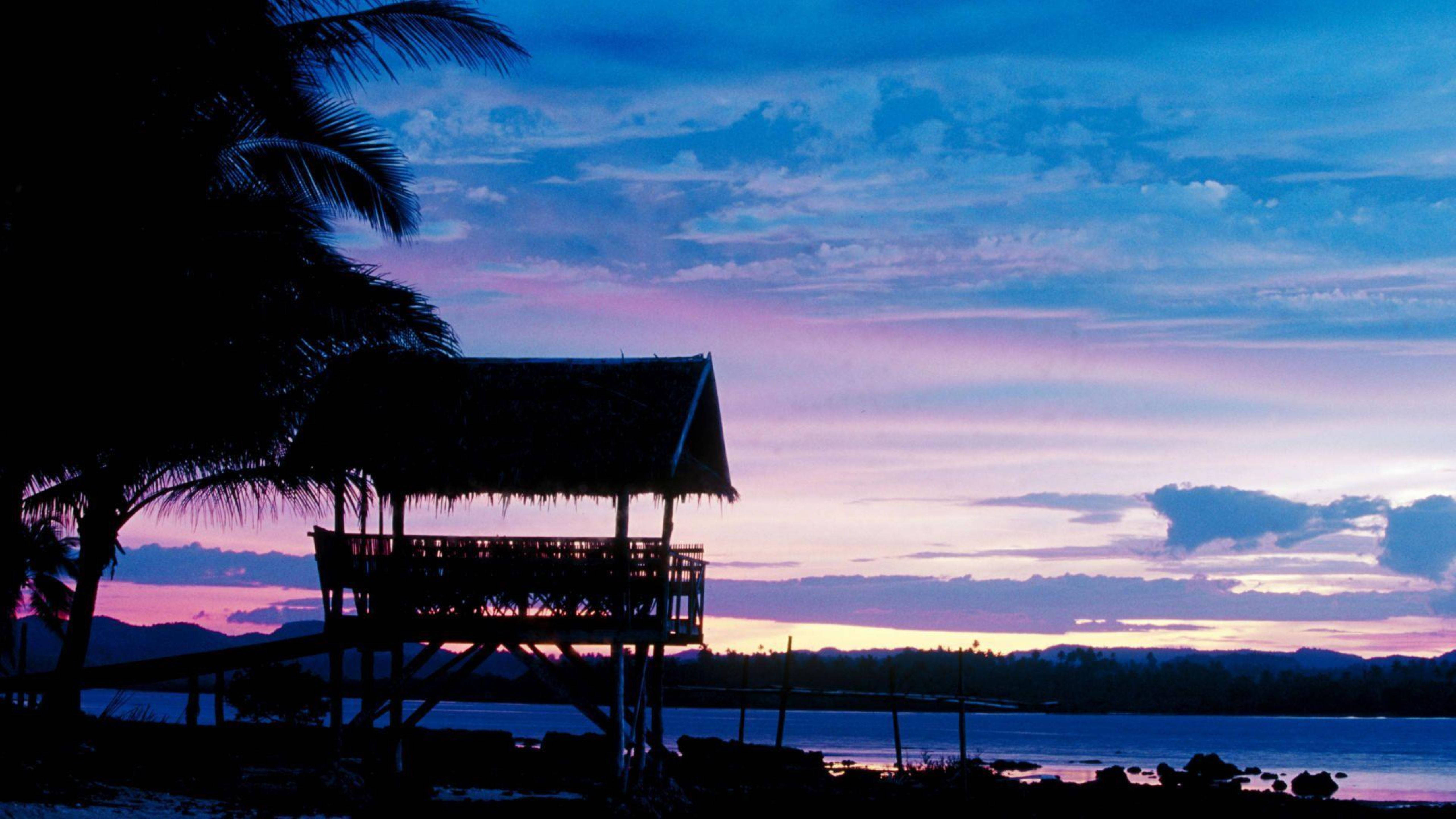 Siargao 桌布 壁紙 — 茅草屋頂小屋和棕櫚樹的剪影，映襯著平靜水面上充滿活力的暮色天空。
