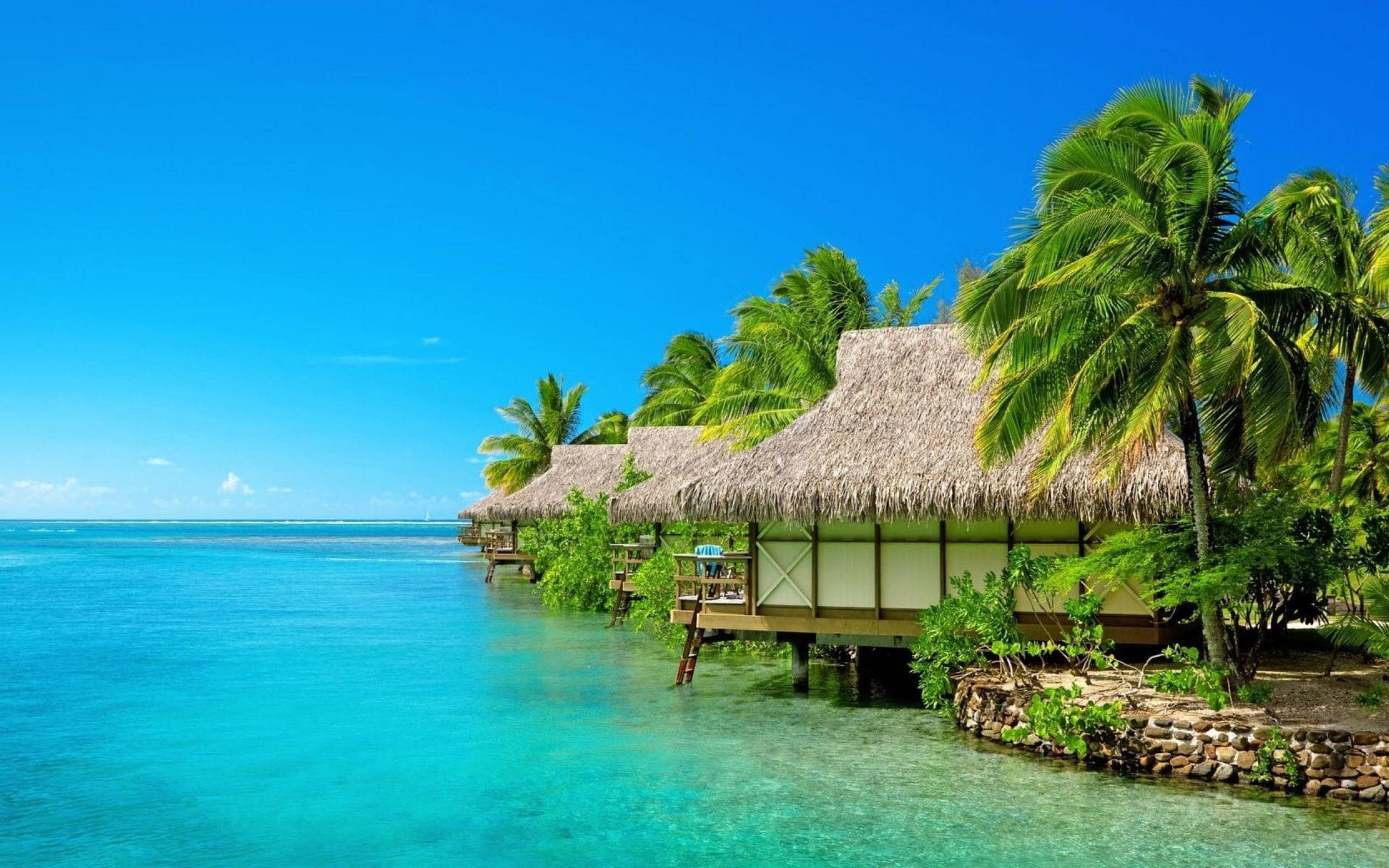 Beach House 桌布 壁紙 — 茅草屋頂的水上平房坐落在棕櫚樹間，位於碧綠色的潟湖上，天空清澈湛藍。