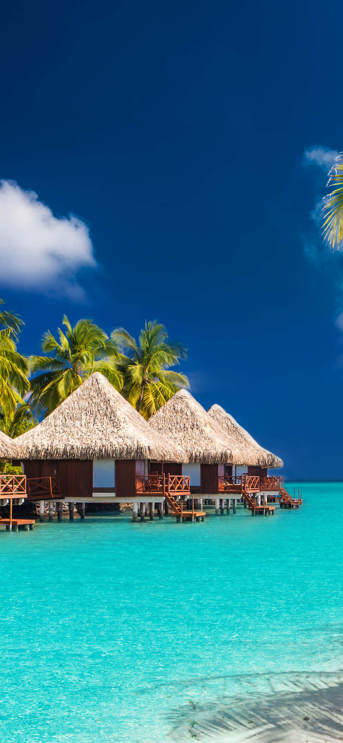 Beach Huts 桌布 壁紙 — 茅草屋頂的水上平房漂浮在清澈的碧綠海水上，上方是湛藍的天空和蓬鬆的白雲。
