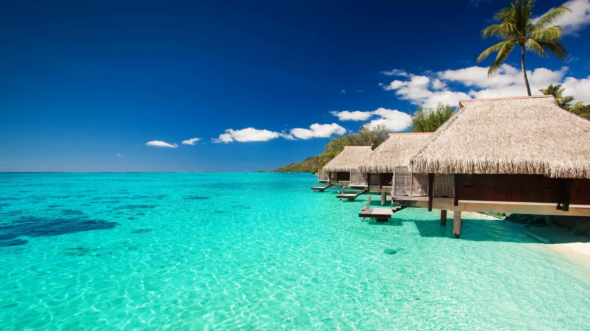 Maldives Beach 桌布 壁紙 — 茅草屋頂的水上平房漂浮在清澈碧綠的海水上，上方是藍天白雲。