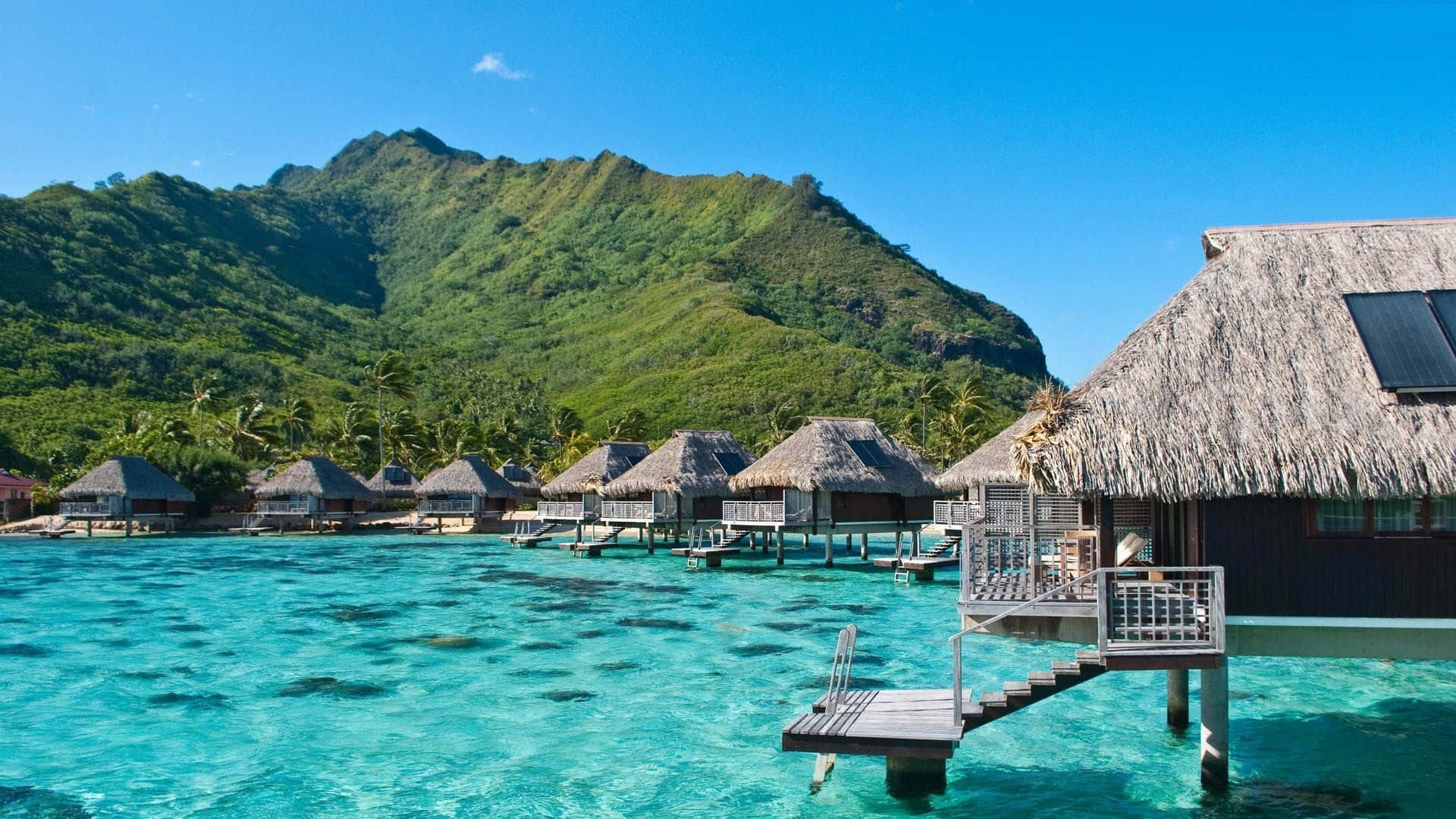 Beach Resort 桌布 壁紙 — 茅草屋頂的水上平房漂浮在清澈碧綠的海水上，背景是鬱鬱蔥蔥的青山，在明亮的藍天下。