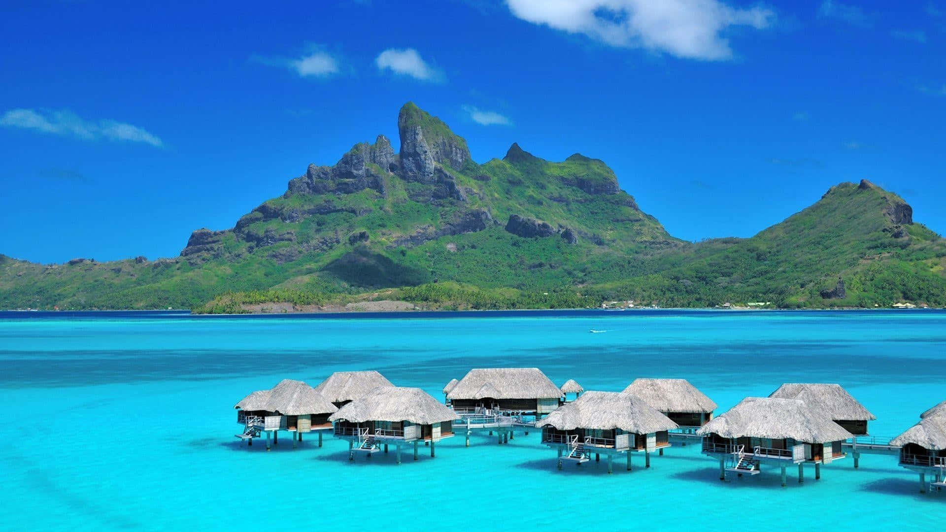 Bora Bora 桌布 壁紙 — 茅草屋頂的水上平房漂浮在清澈碧綠的海水上，背景是鬱鬱蔥蔥的綠色火山山峰，天空湛藍。