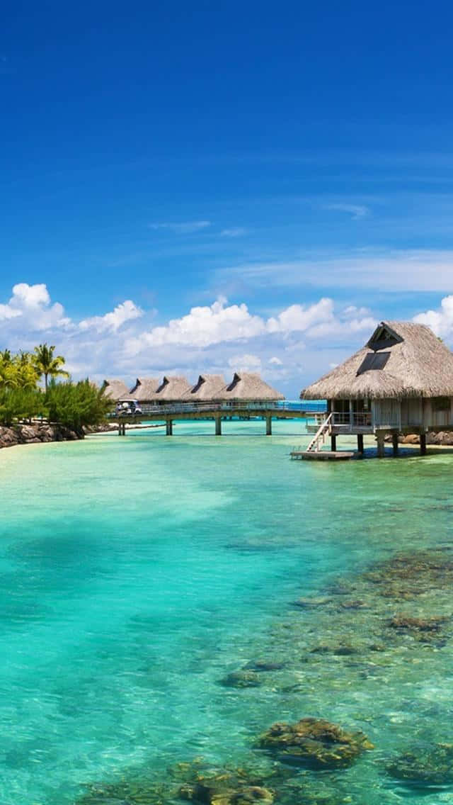 Bora Bora 桌布 壁紙 — 茅草屋頂的水上平房漂浮在清澈碧綠的海水上，上方是藍天白雲。