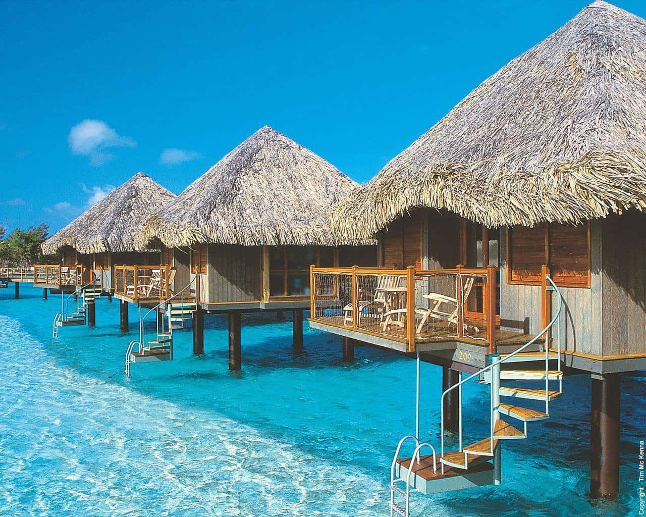 Bora Bora 桌布 壁紙 — 茅草屋頂的水上平房漂浮在清澈碧綠的海水上，頭頂是明亮的藍天。