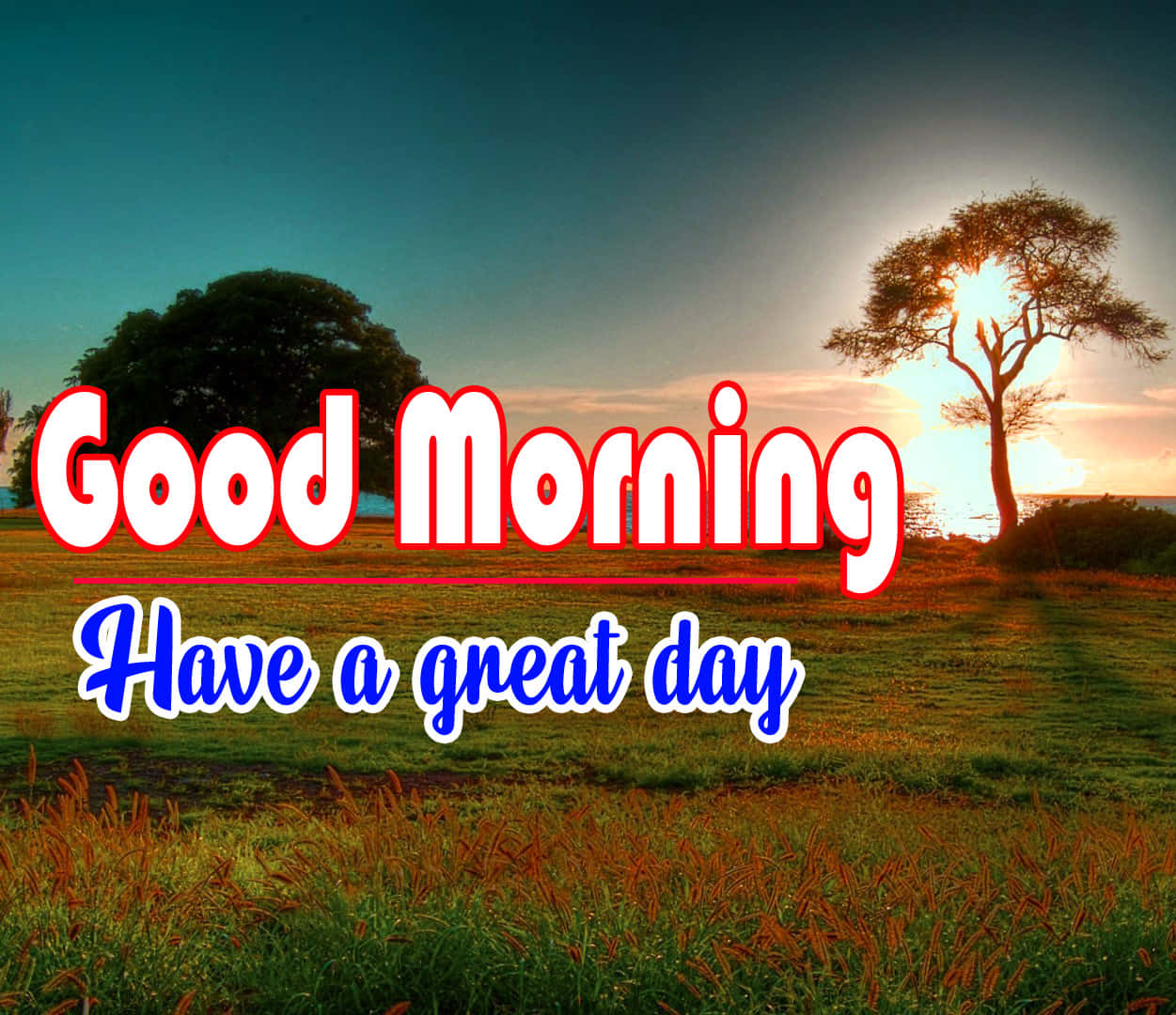 Good Morning 桌布 壁紙 — 草地上日出，樹木剪影，粗體「早安」文字在天空中發光。
